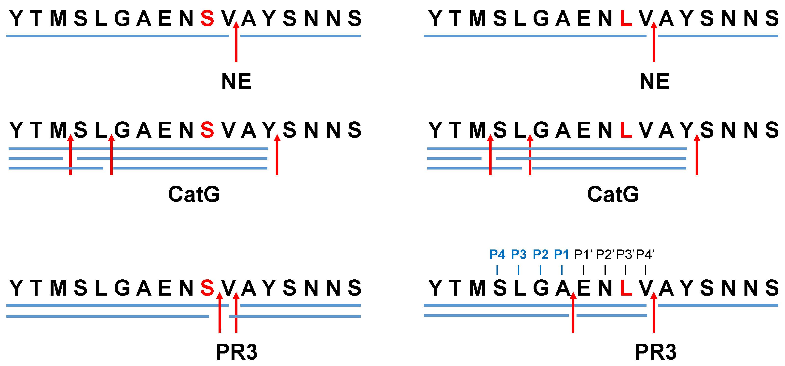 Molecules 27 05817 g002