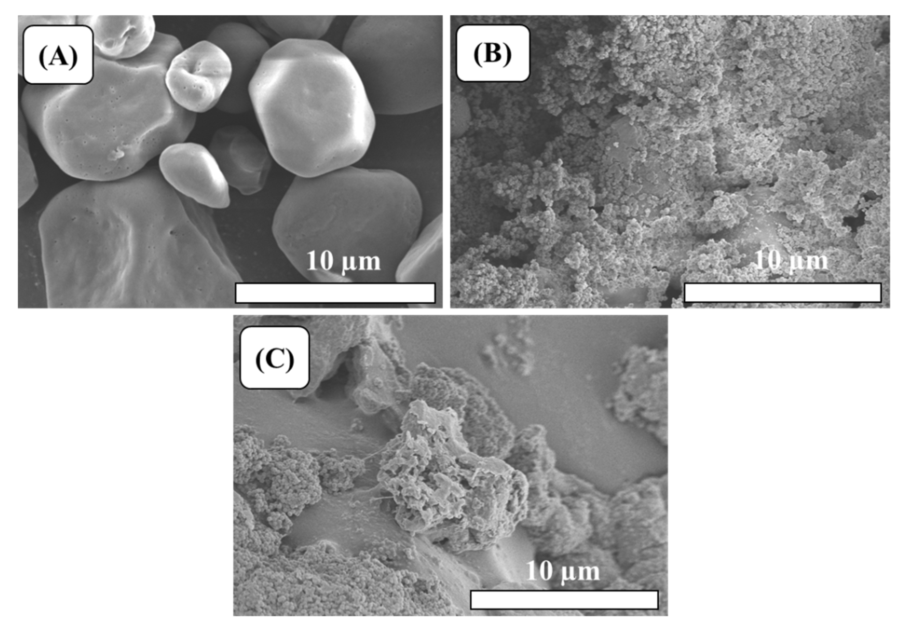 Molecules 27 05844 g004