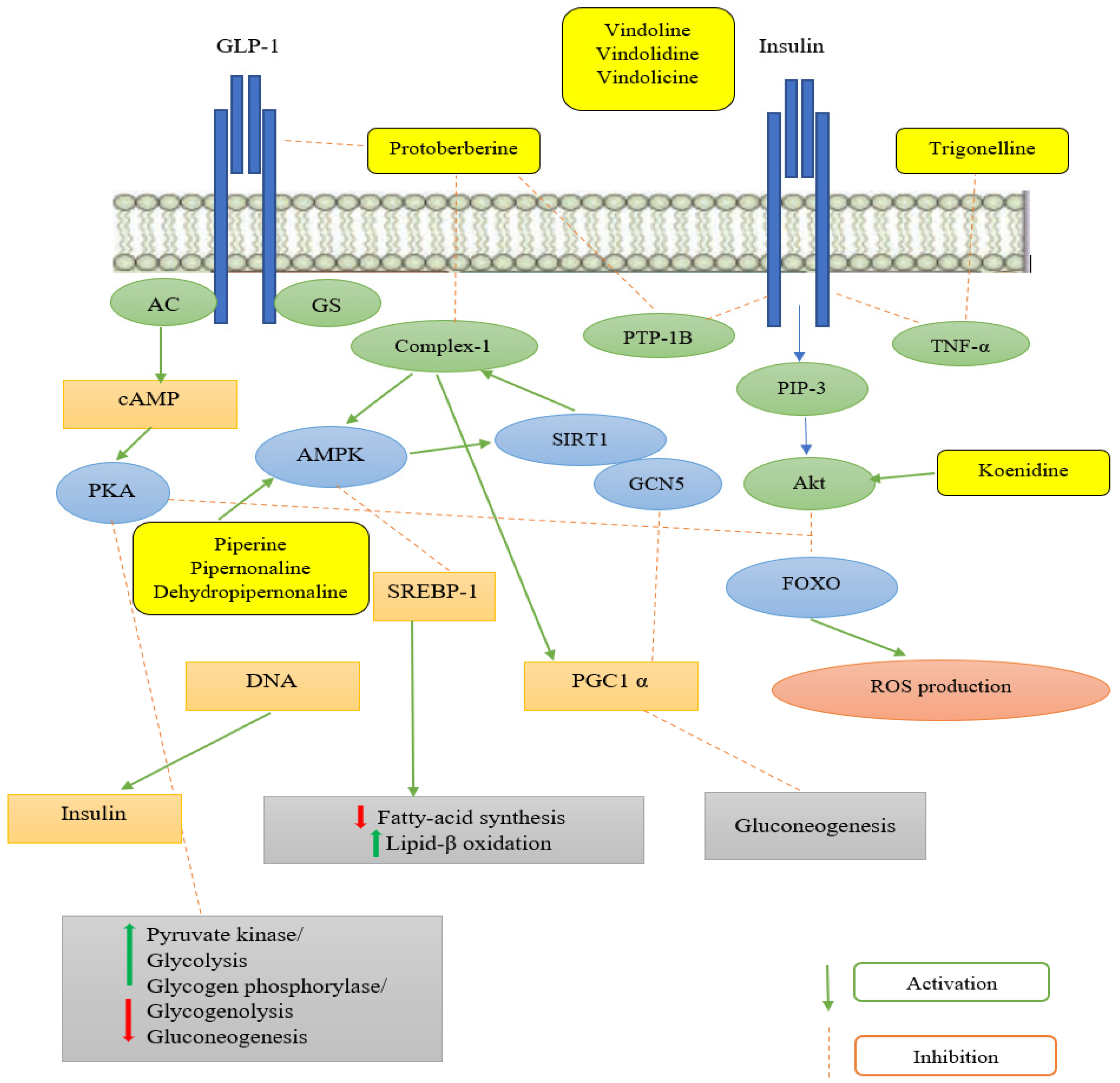 Molecules 27 05851 g003