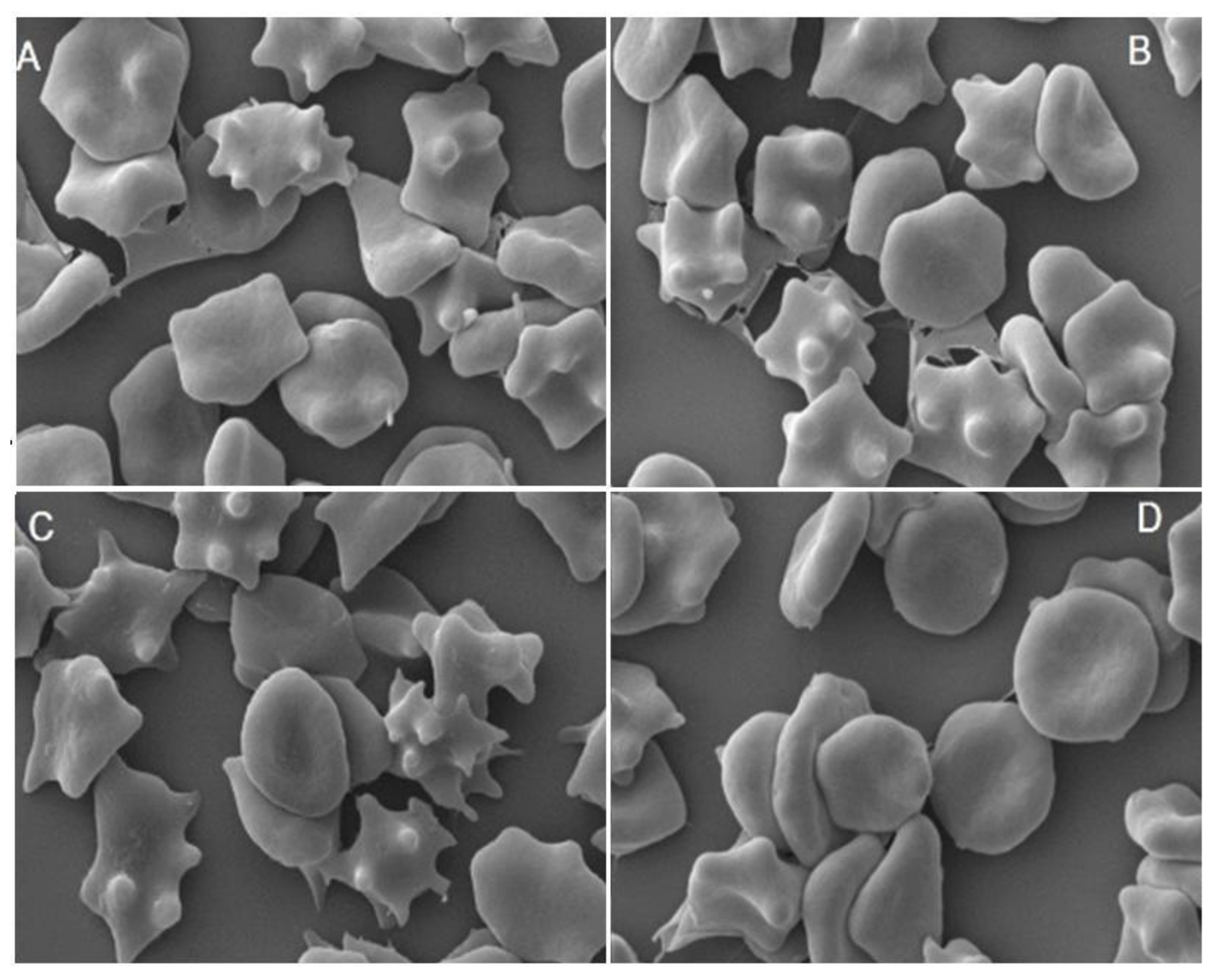 Molecules 27 05865 g004