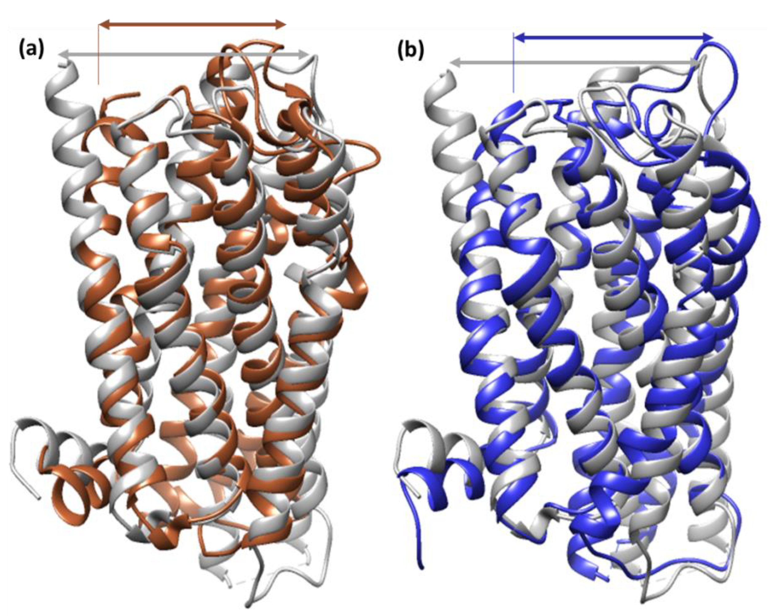 Molecules 27 05883 g011 Molecules 27 05883 g011