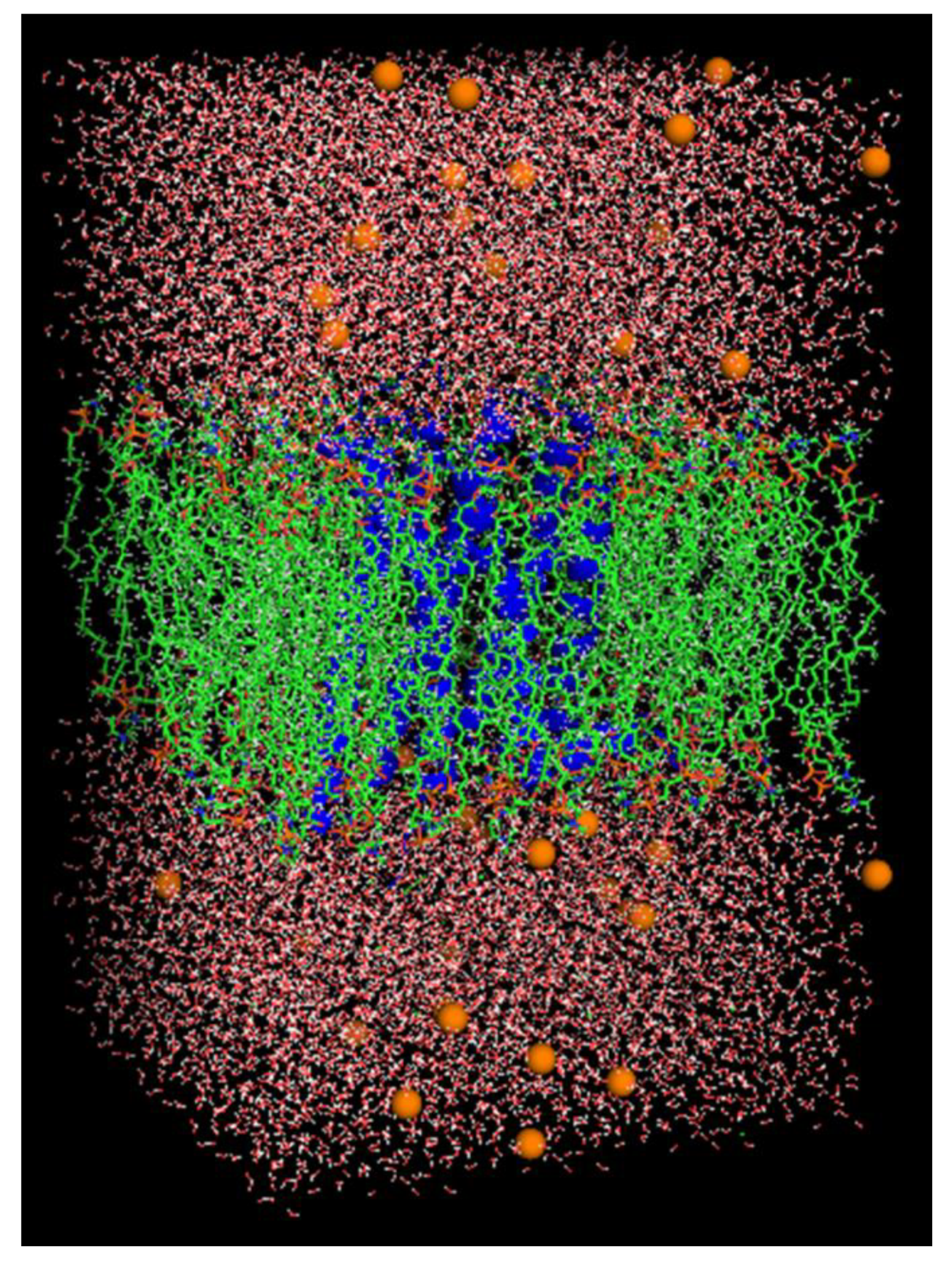 Molecules 27 05883 g021 Molecules 27 05883 g021