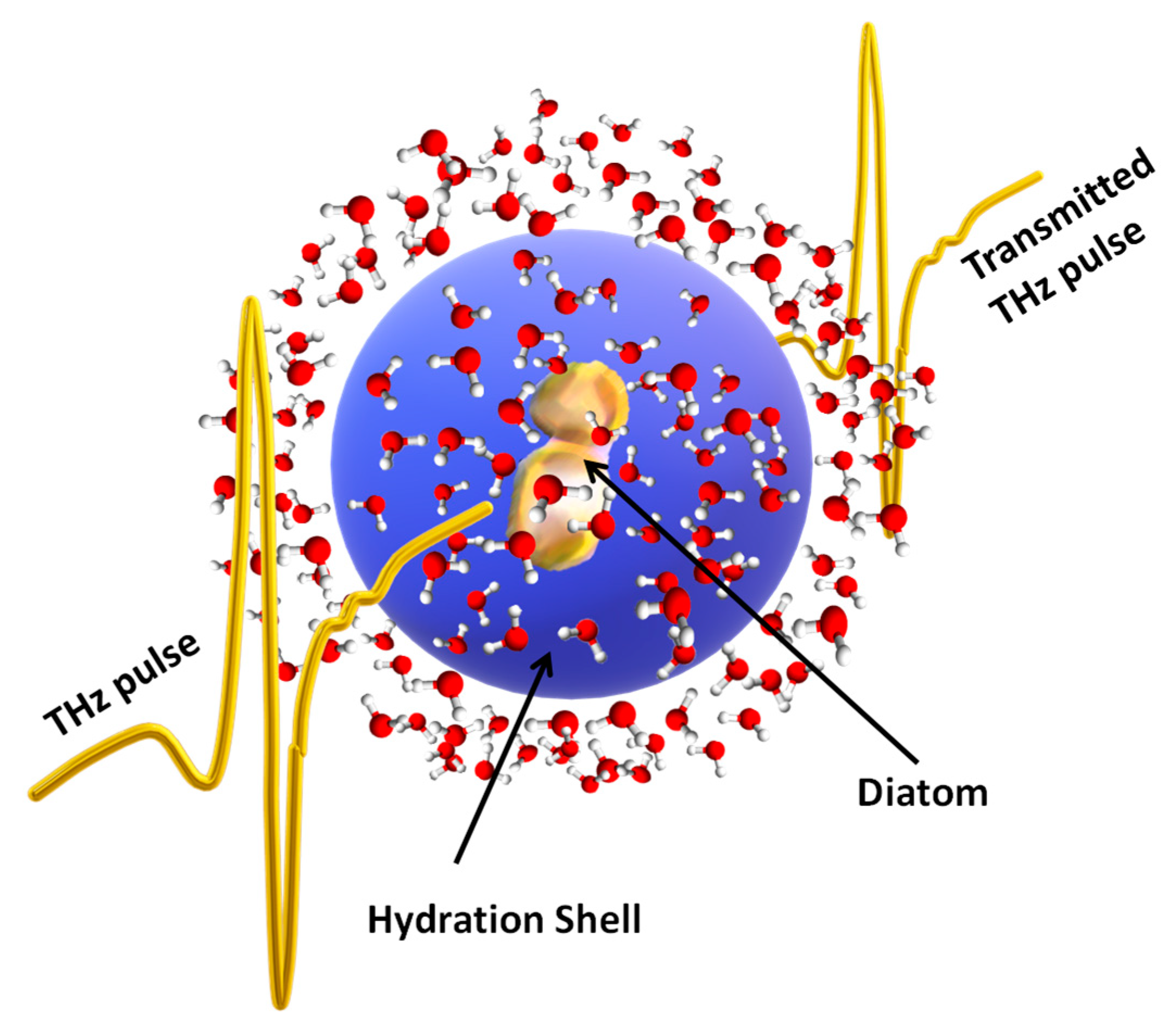Molecules 27 05897 g001