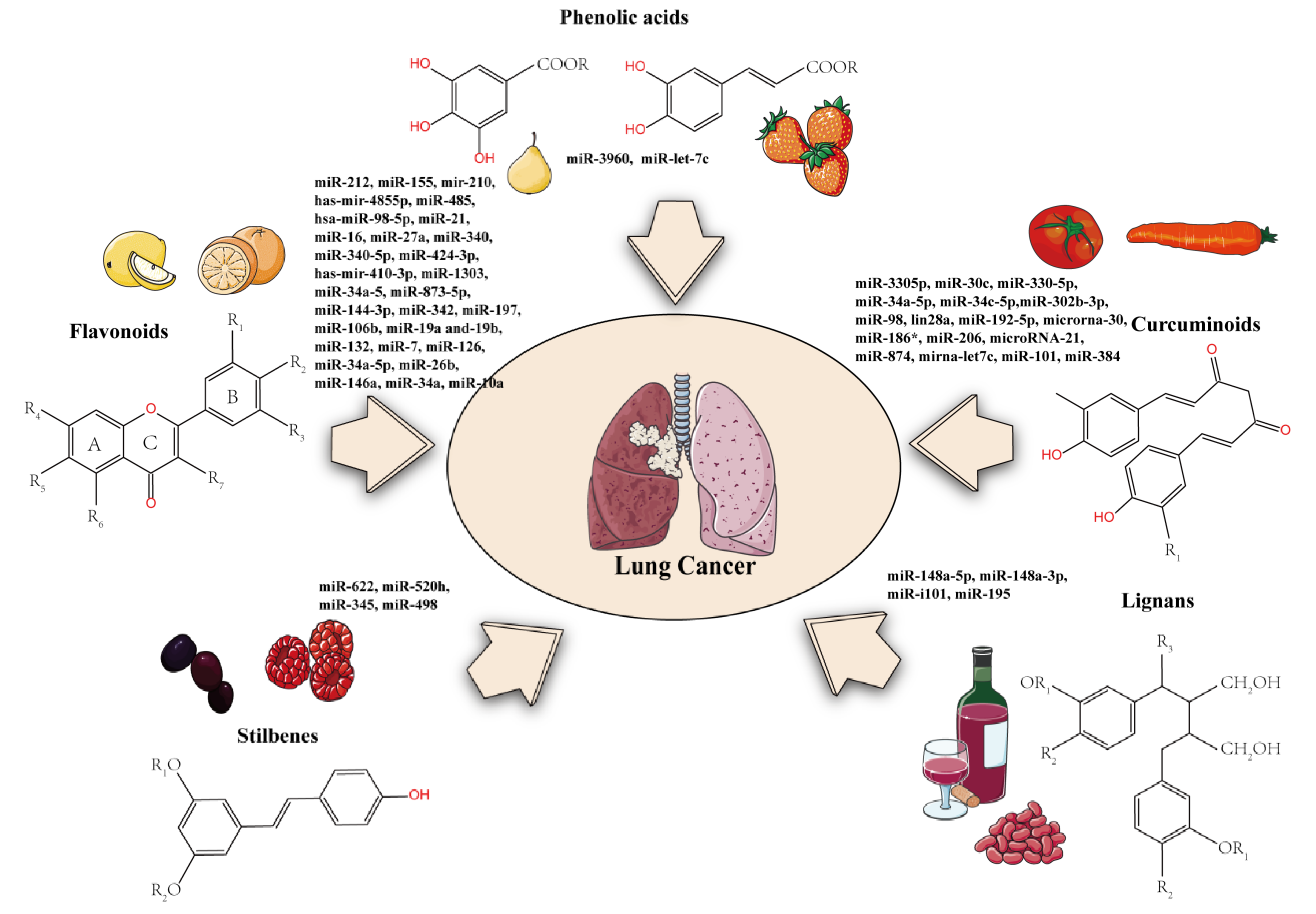 Molecules | Free Full-Text | Polyphenols as Lung Cancer 