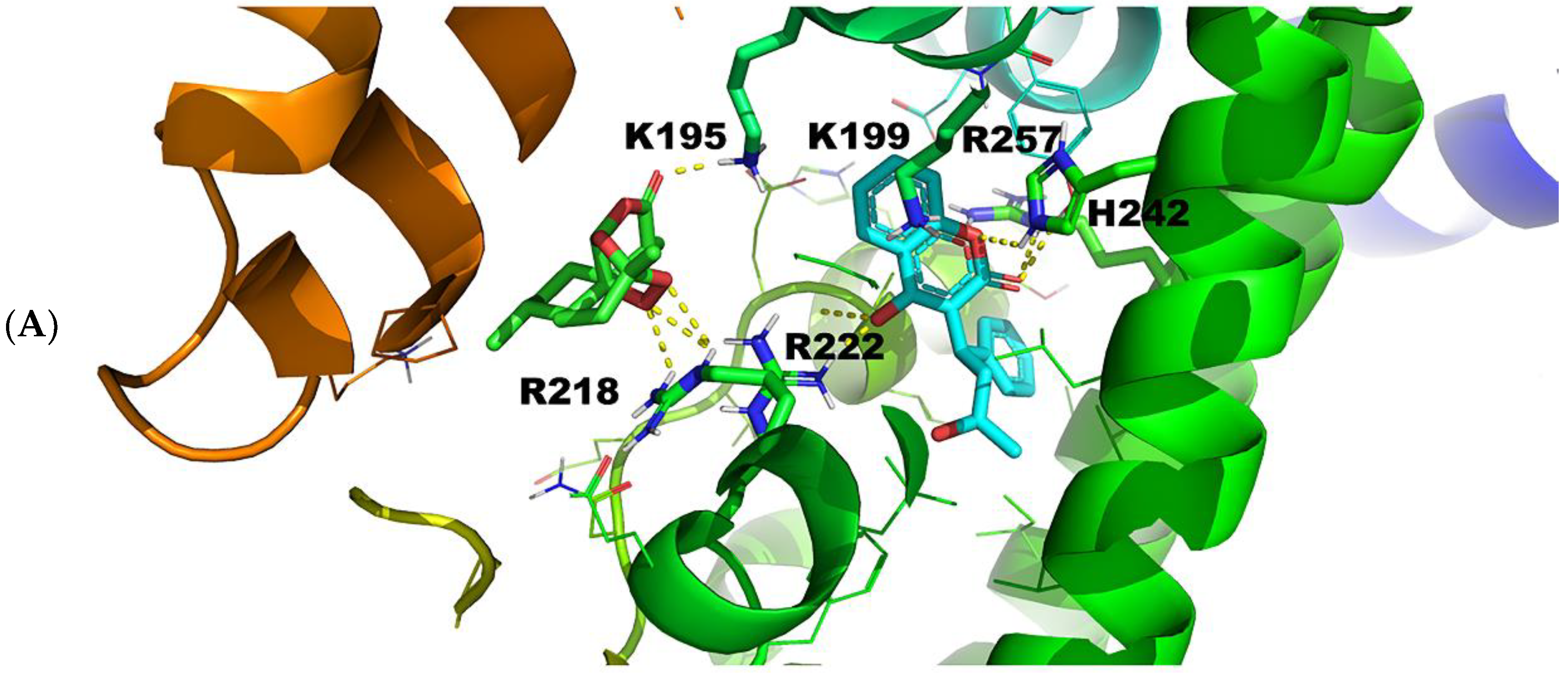 Molecules 27 05912 g009a