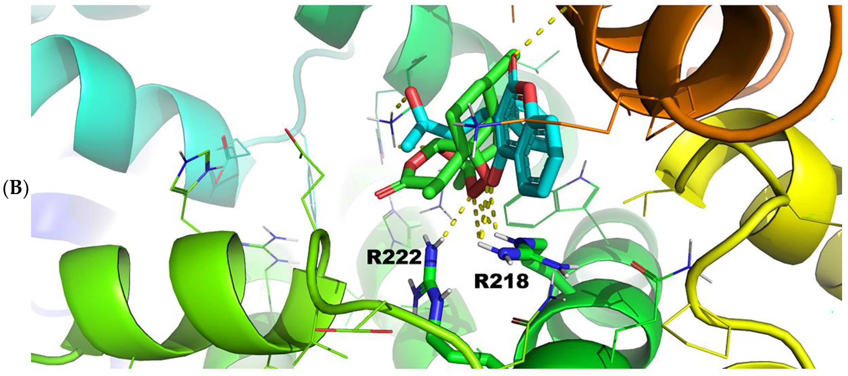 Molecules 27 05912 g009b