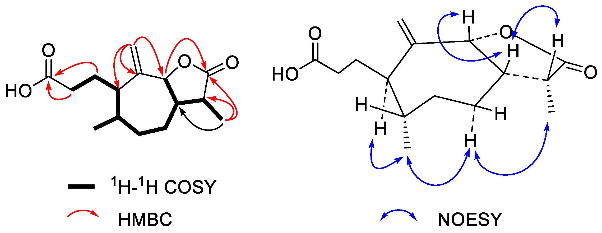 Molecules 27 05915 g005 Molecules 27 05915 g005