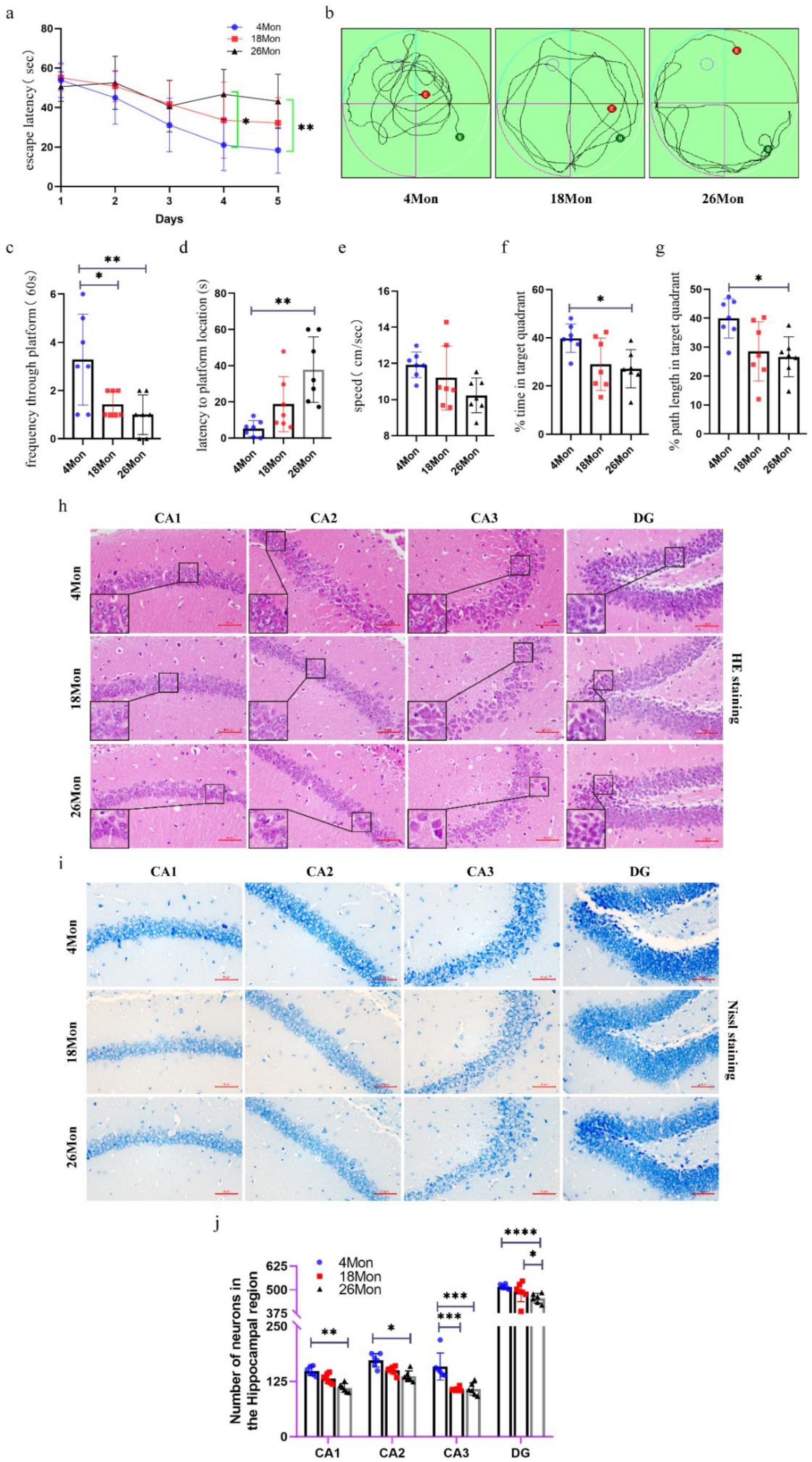Molecules 27 05925 g001