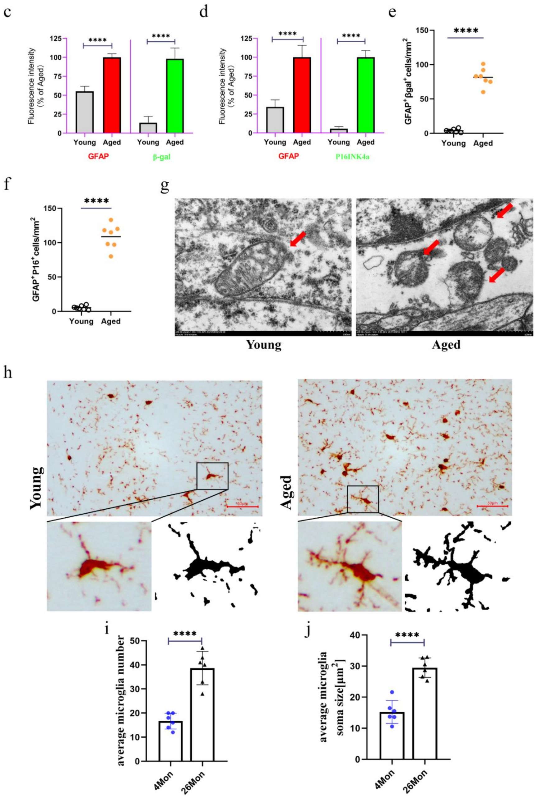 Molecules 27 05925 g002b