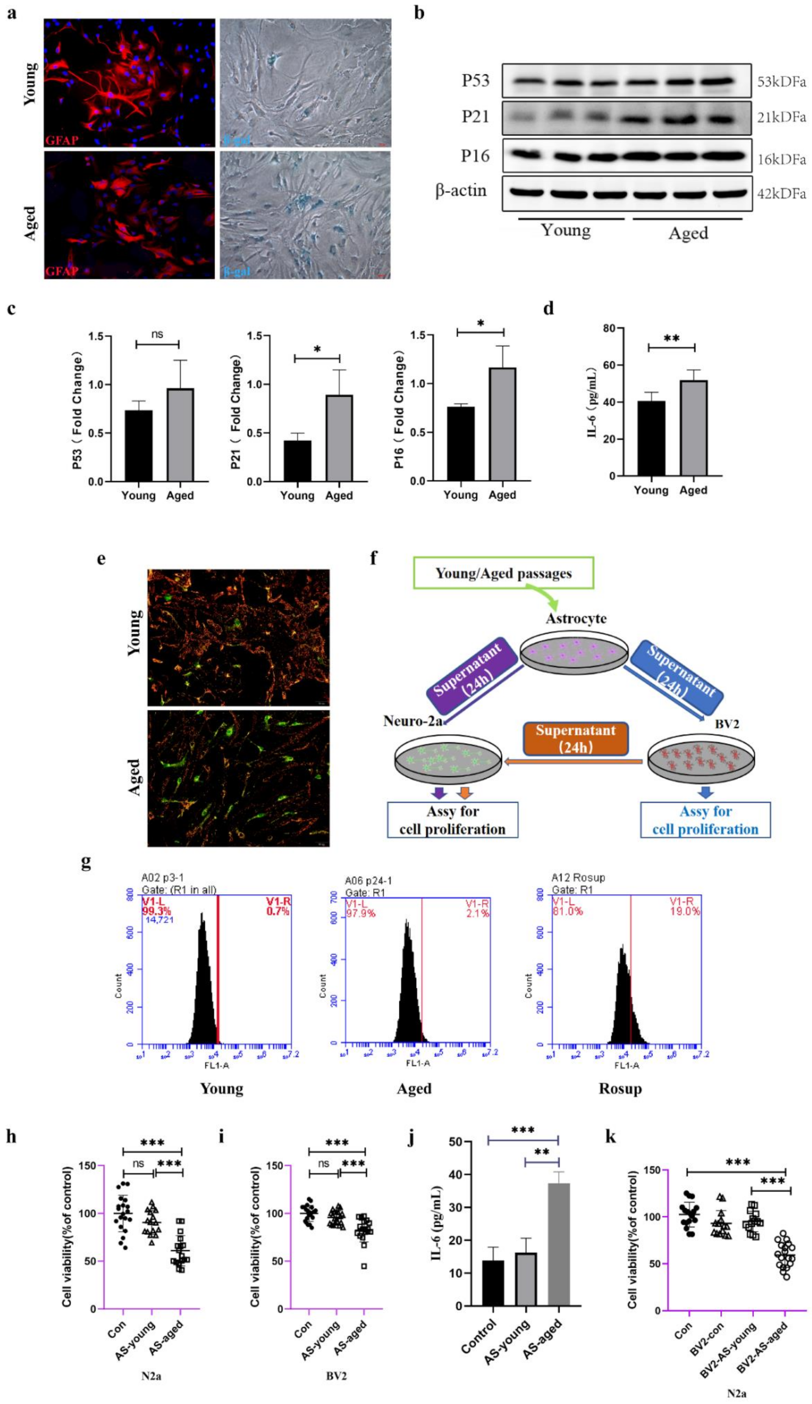 Molecules 27 05925 g003