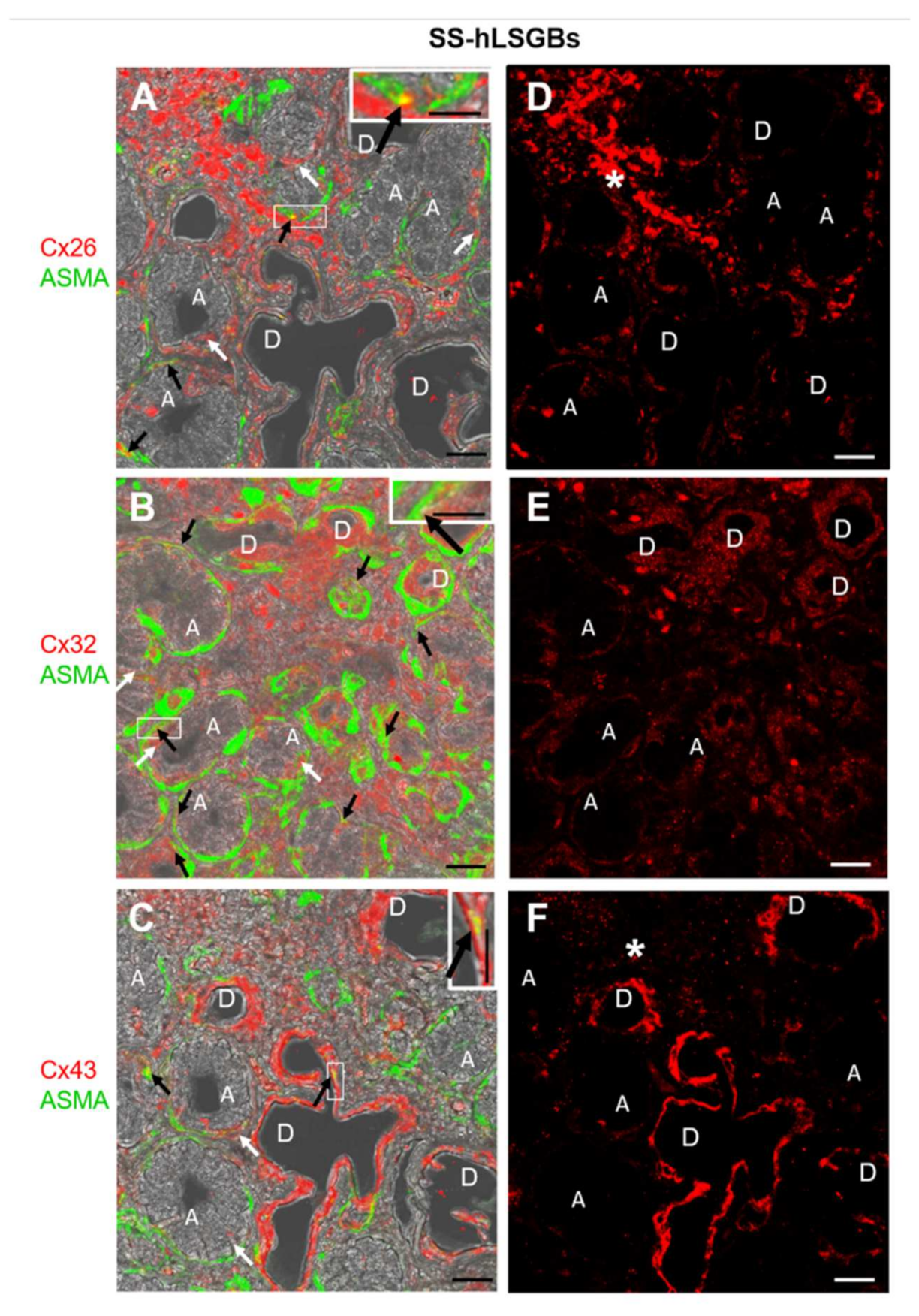 Molecules 27 05926 g002 Molecules 27 05926 g002