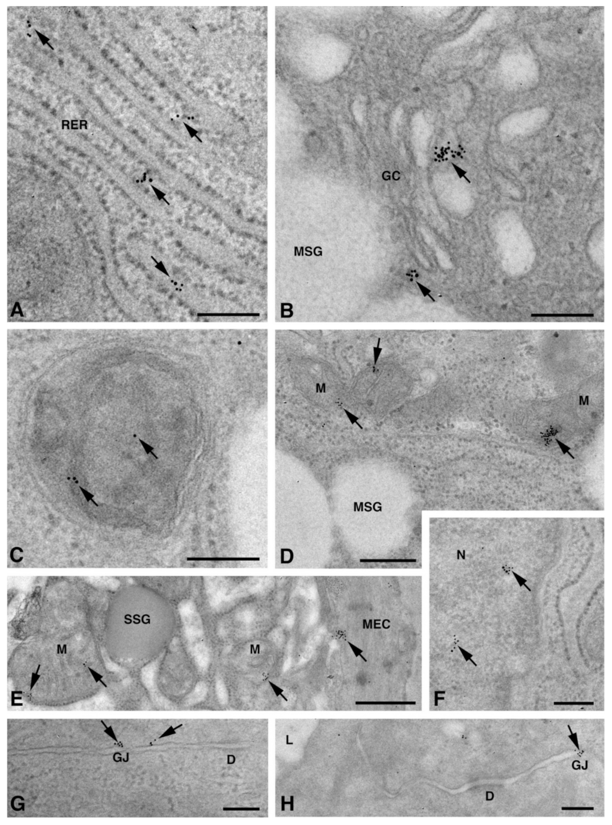 Molecules 27 05926 g003 Molecules 27 05926 g003