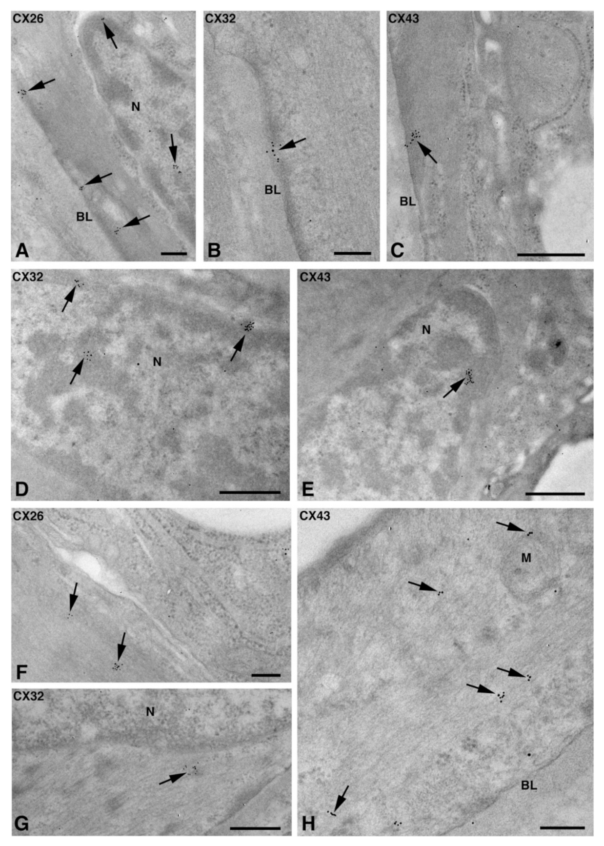 Molecules 27 05926 g006 Molecules 27 05926 g006