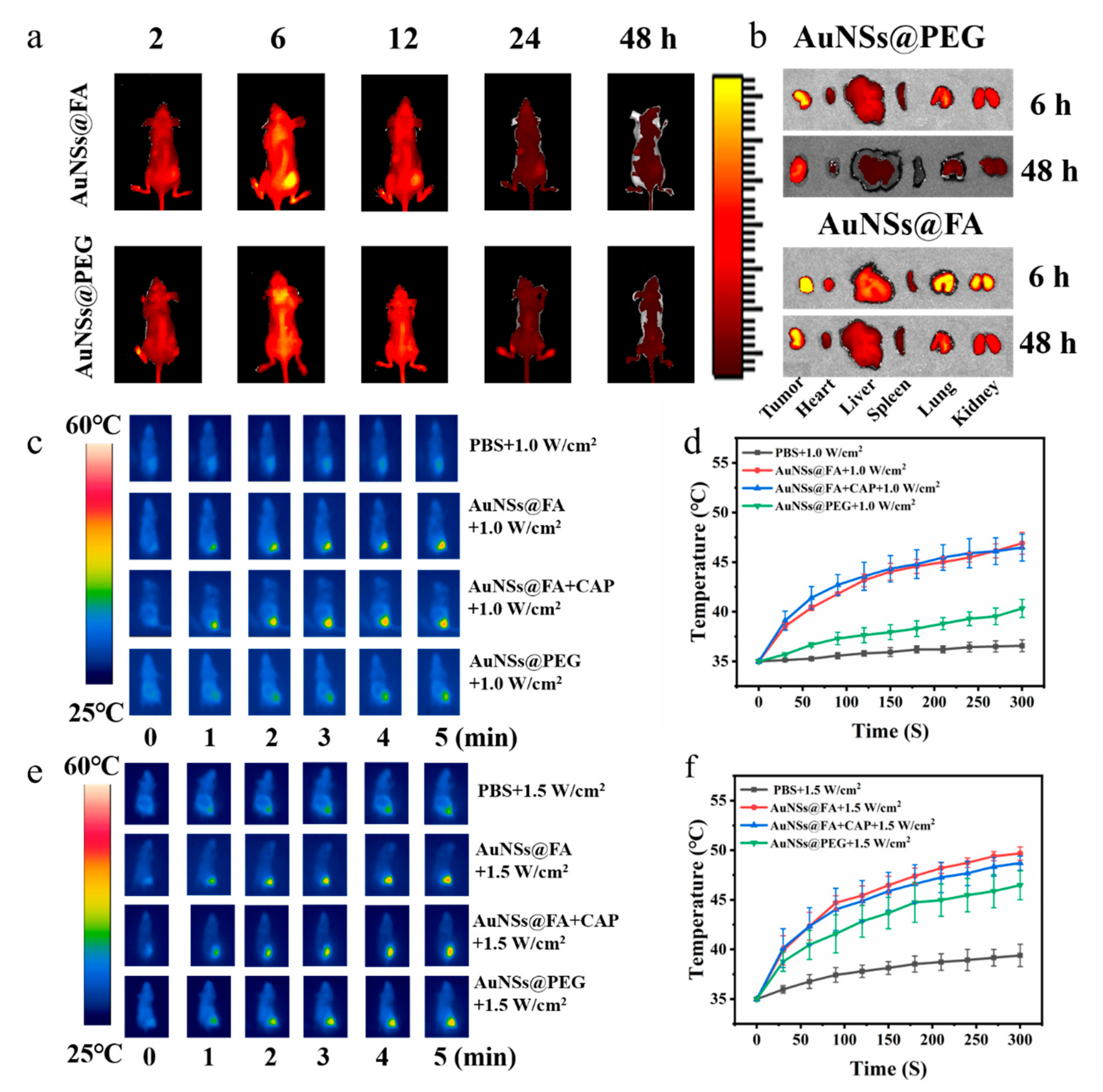 Molecules 27 05941 g006