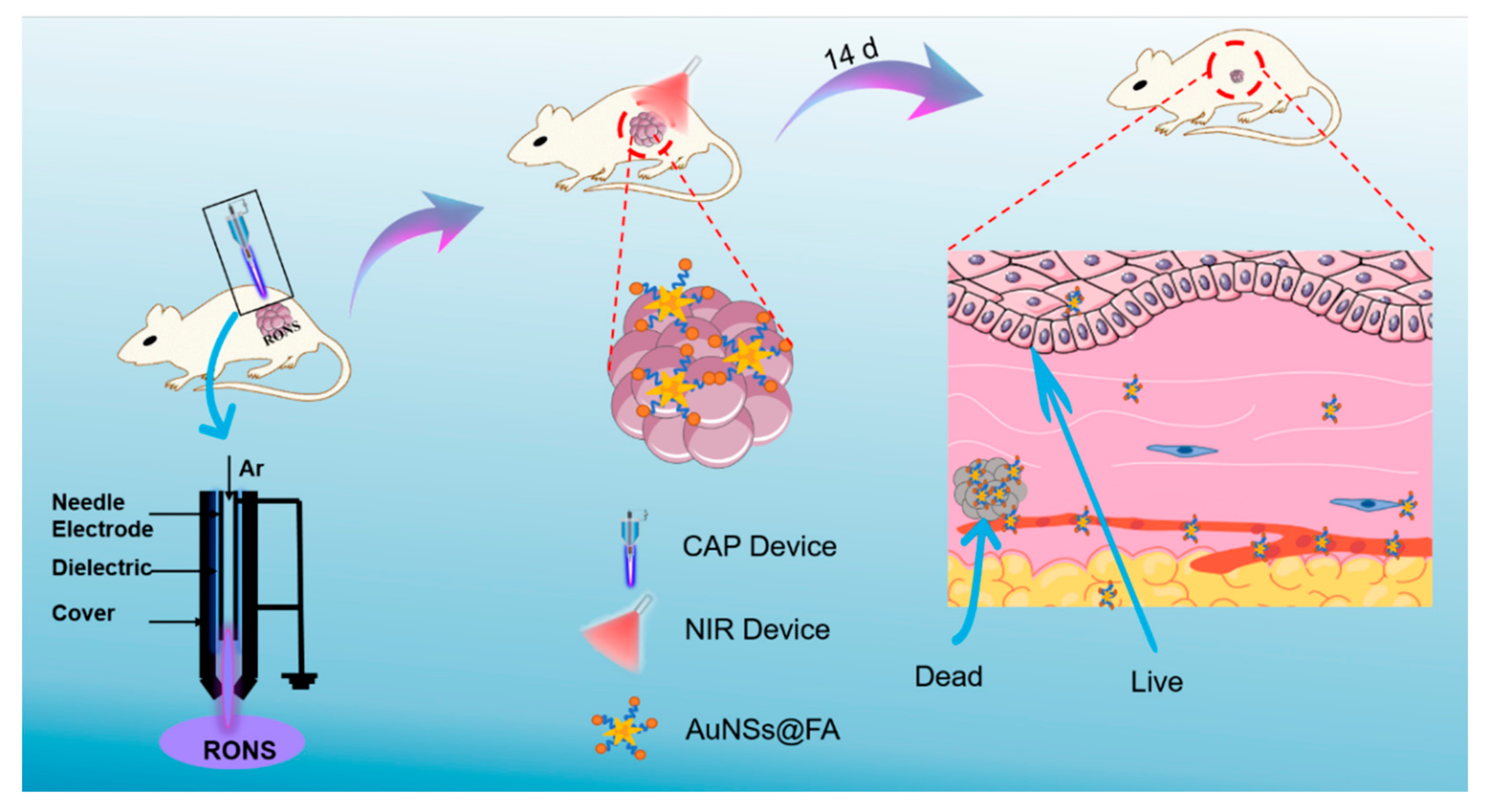 Molecules 27 05941 sch001