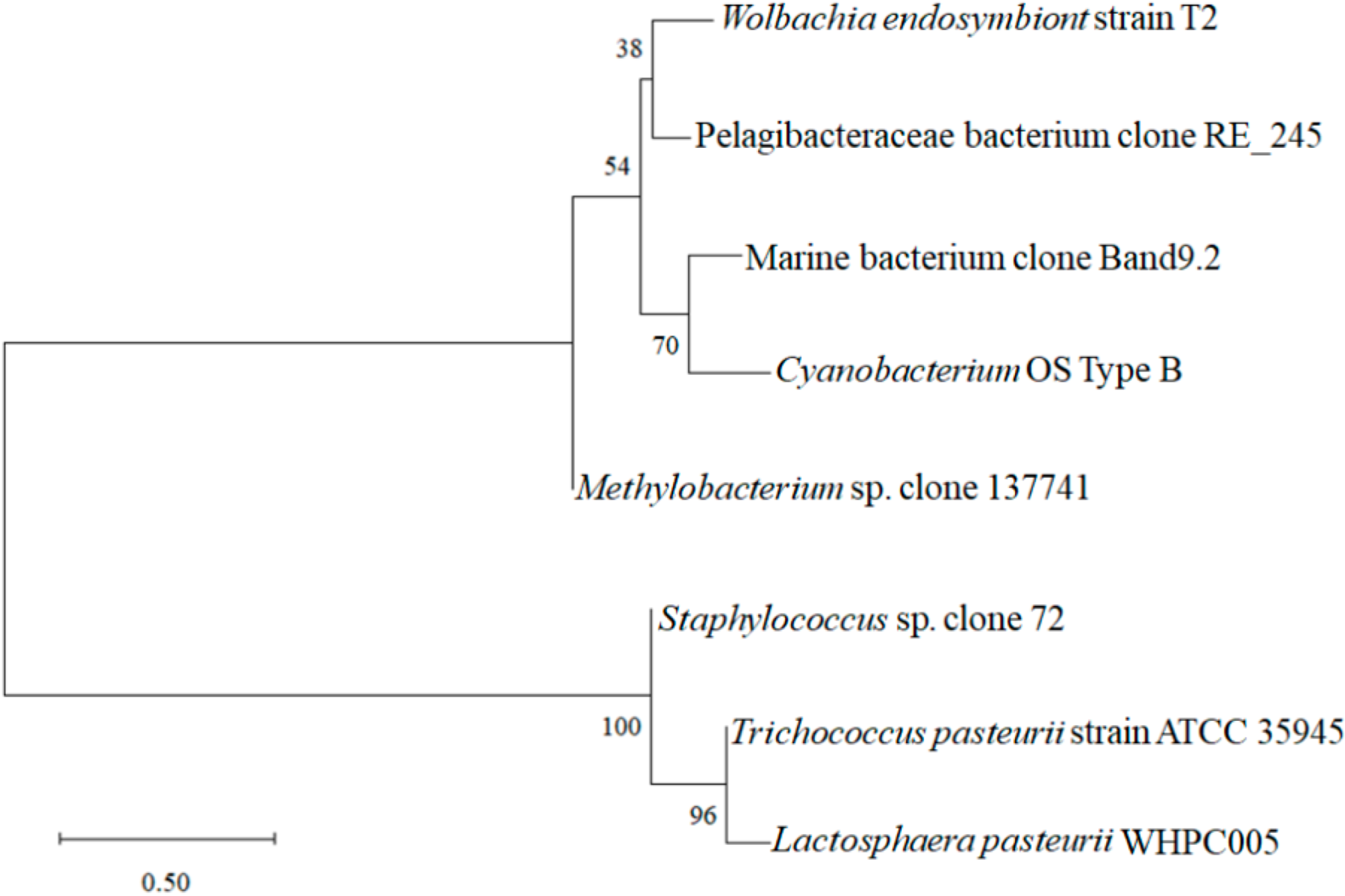 Molecules 27 05942 g003