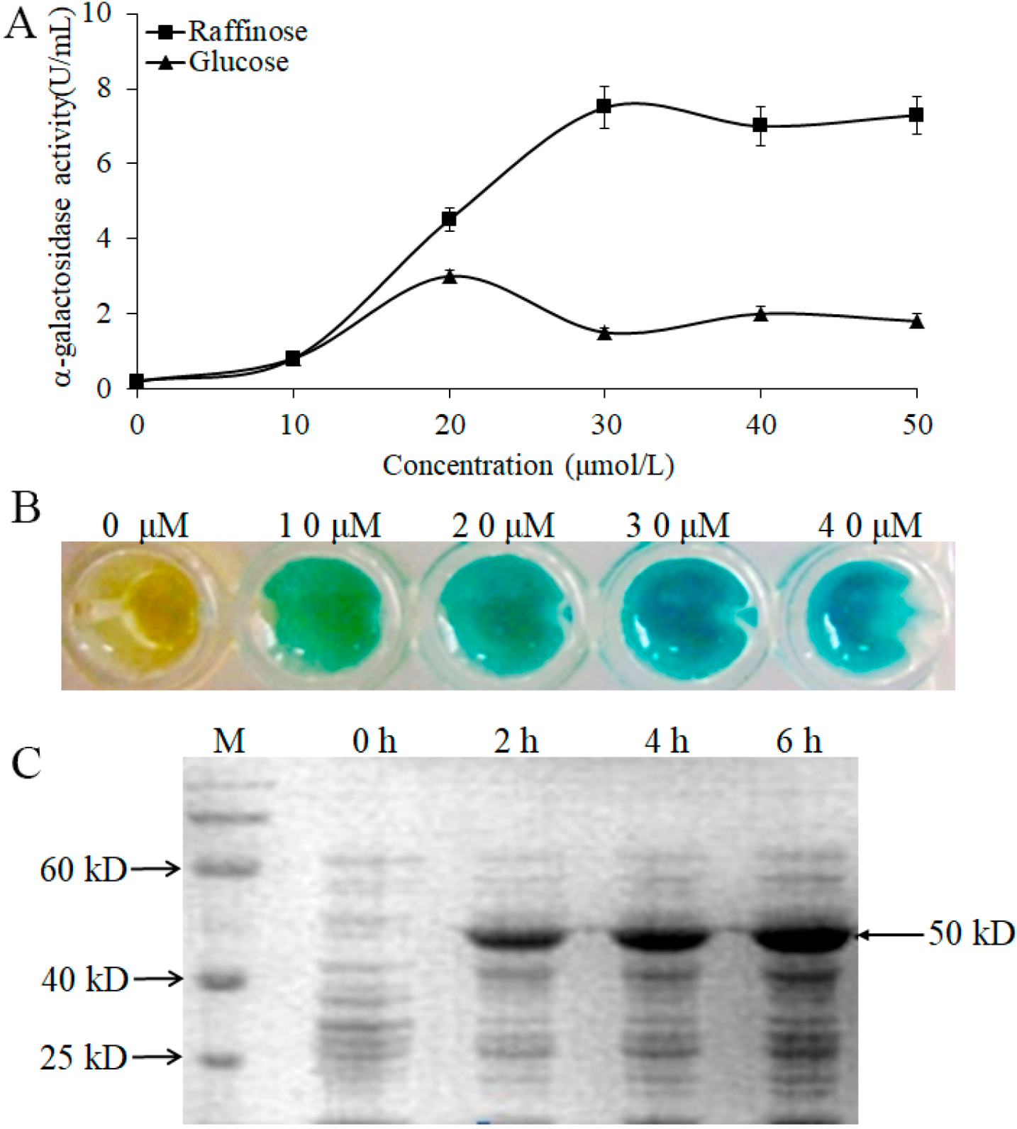 Molecules 27 05942 g005