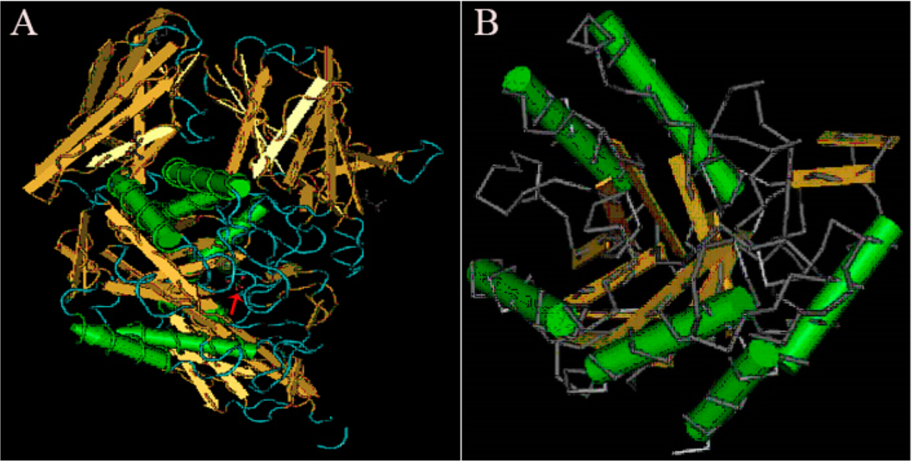 Molecules 27 05942 g007