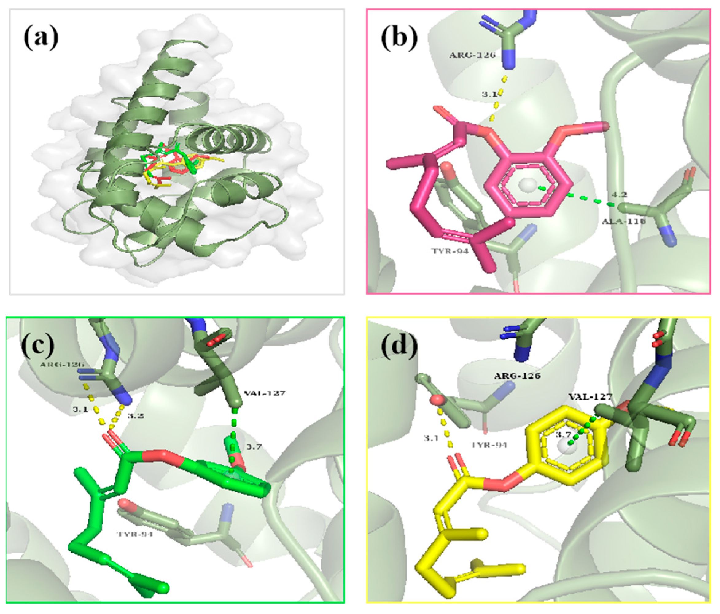 Molecules 27 05949 g006
