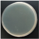 Molecules 27 05953 i007