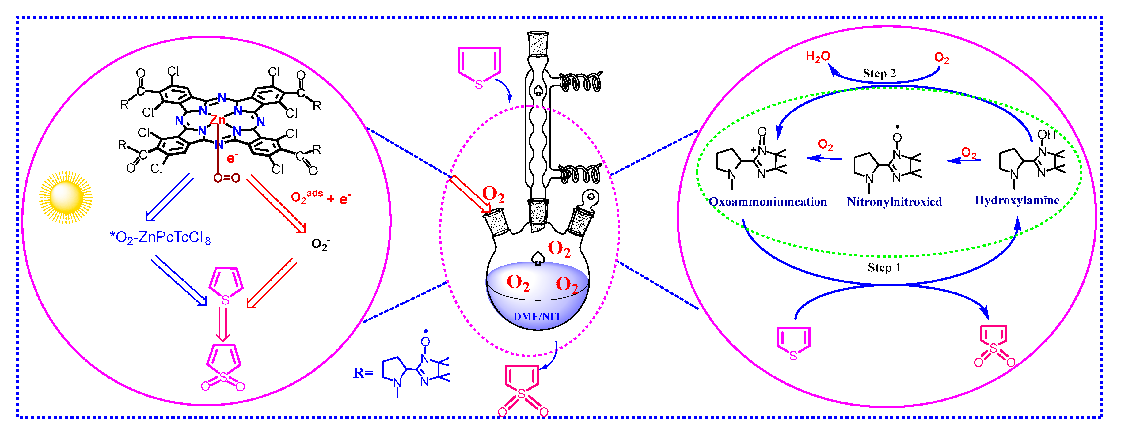 Molecules 27 05964 g011
