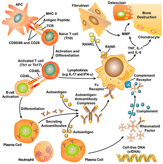 Molecules | Free Full-Text | Nano-Based Co-Delivery System for ...