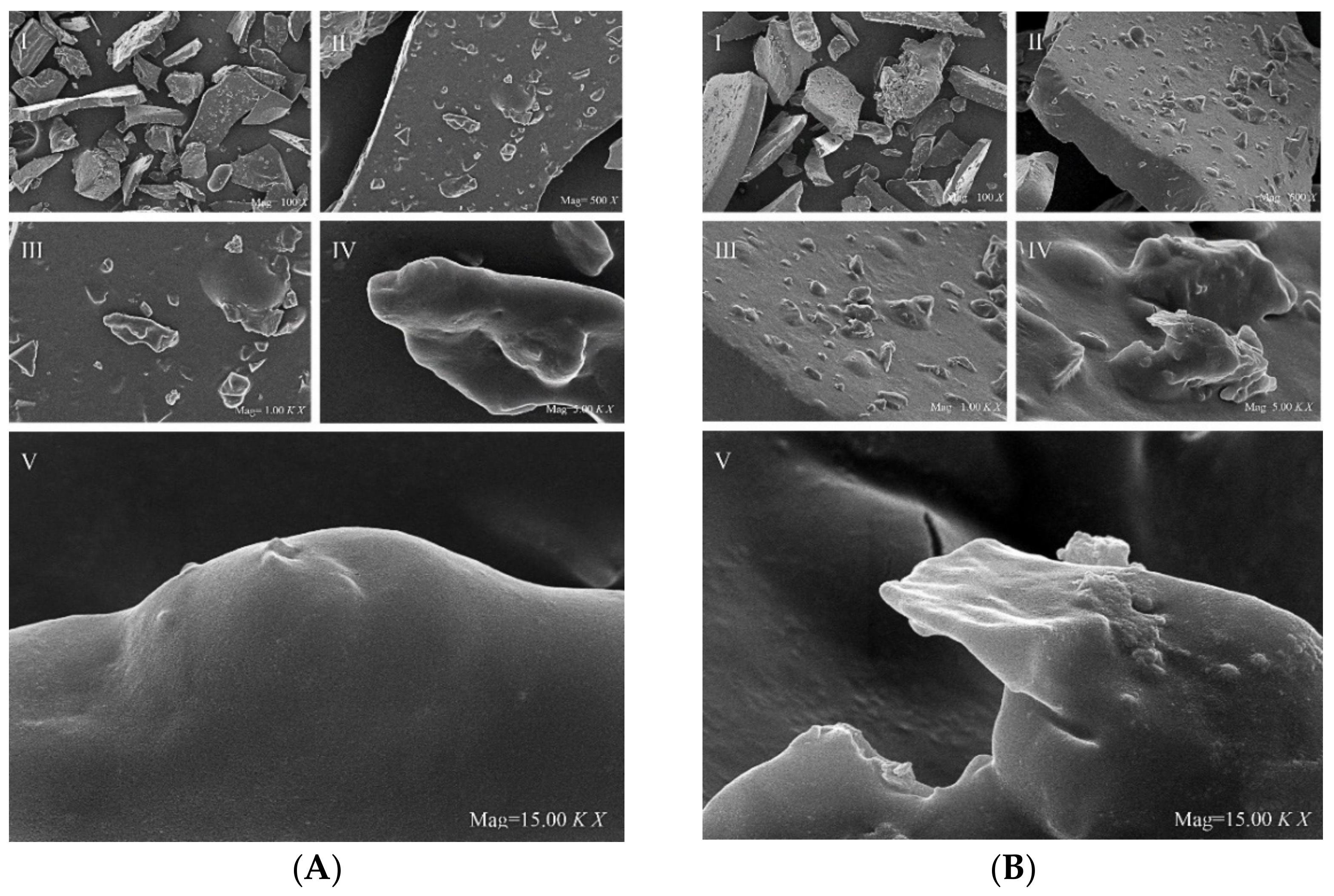 Molecules 27 05978 g004
