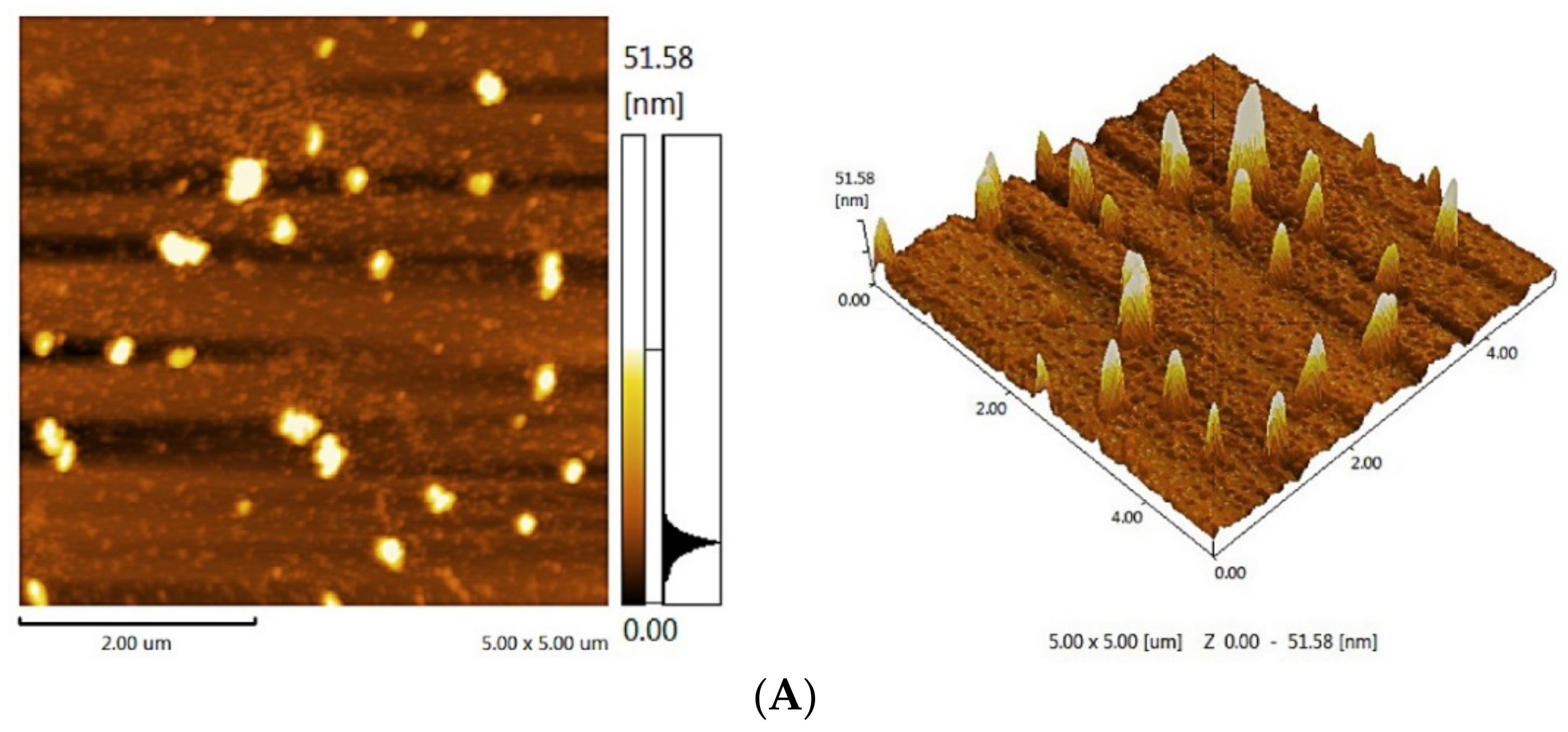 Molecules 27 05978 g005a