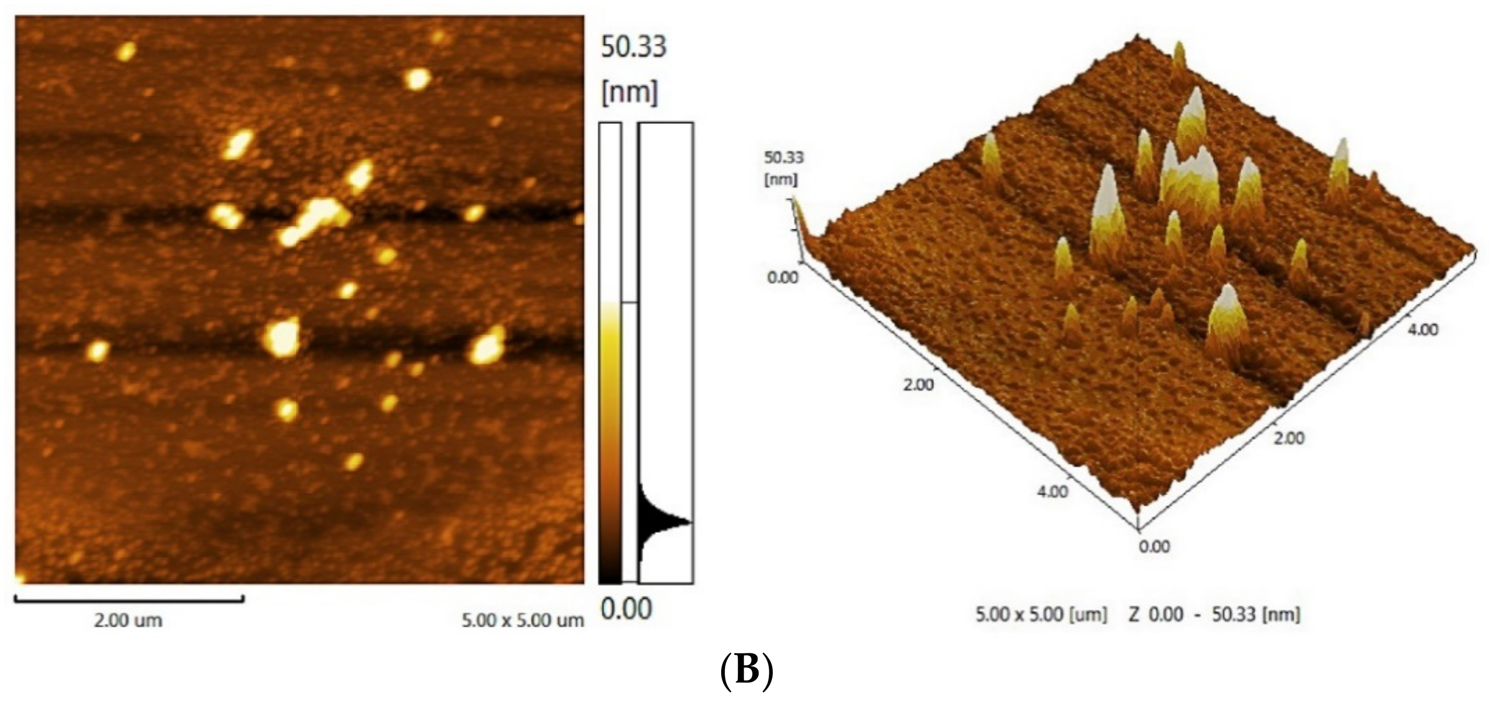 Molecules 27 05978 g005b