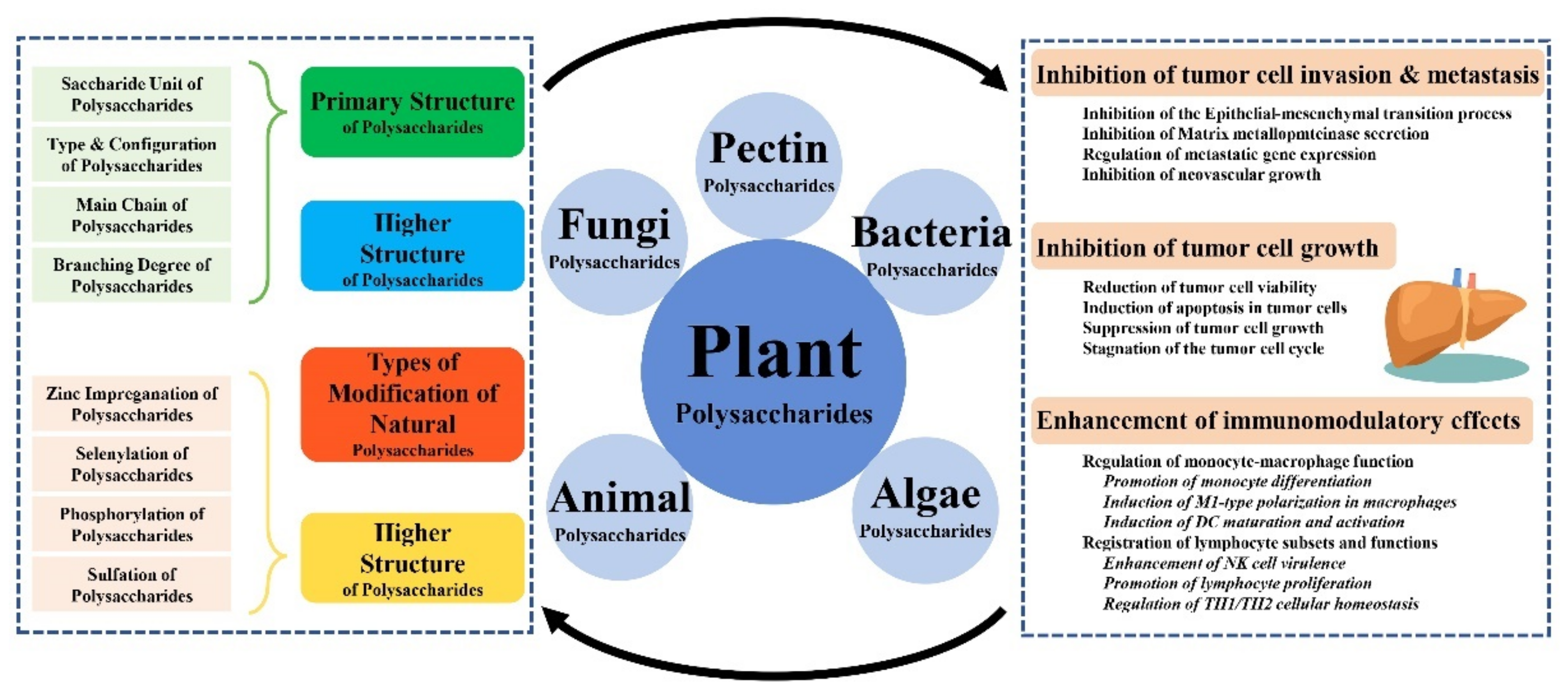 Molecules 27 05978 g014
