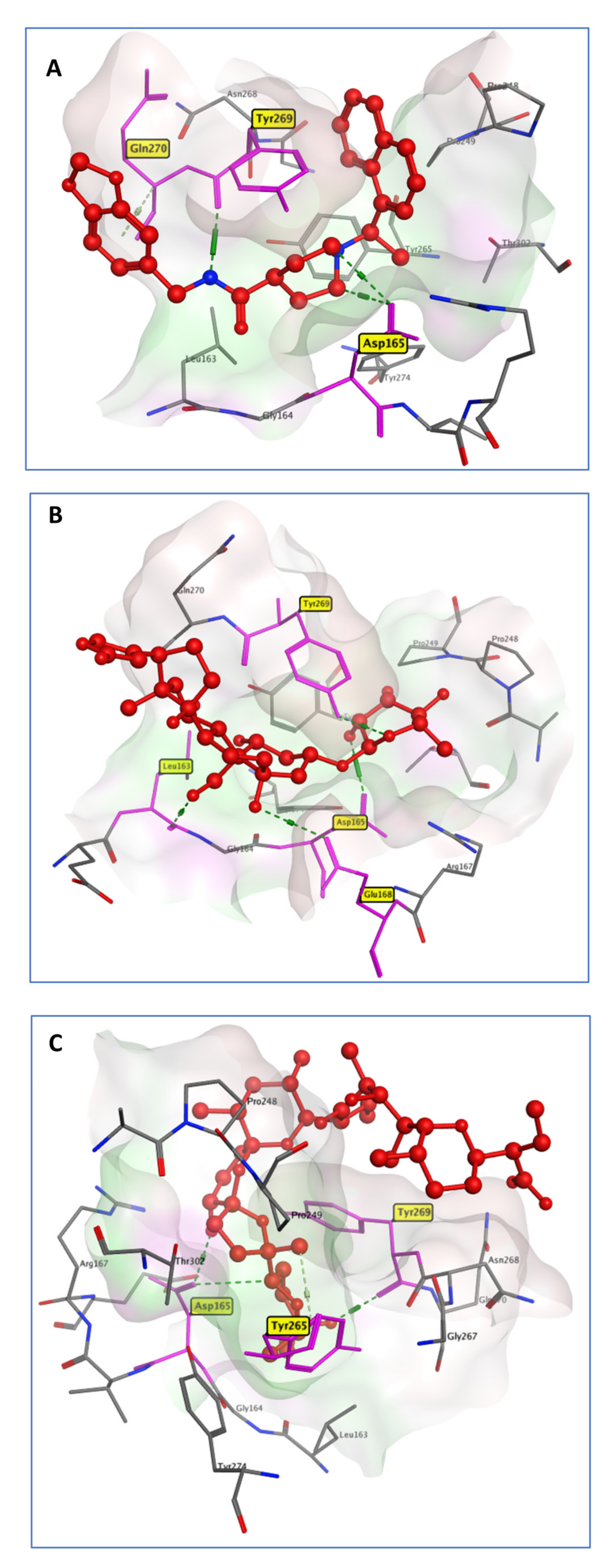 Molecules 27 05988 g001