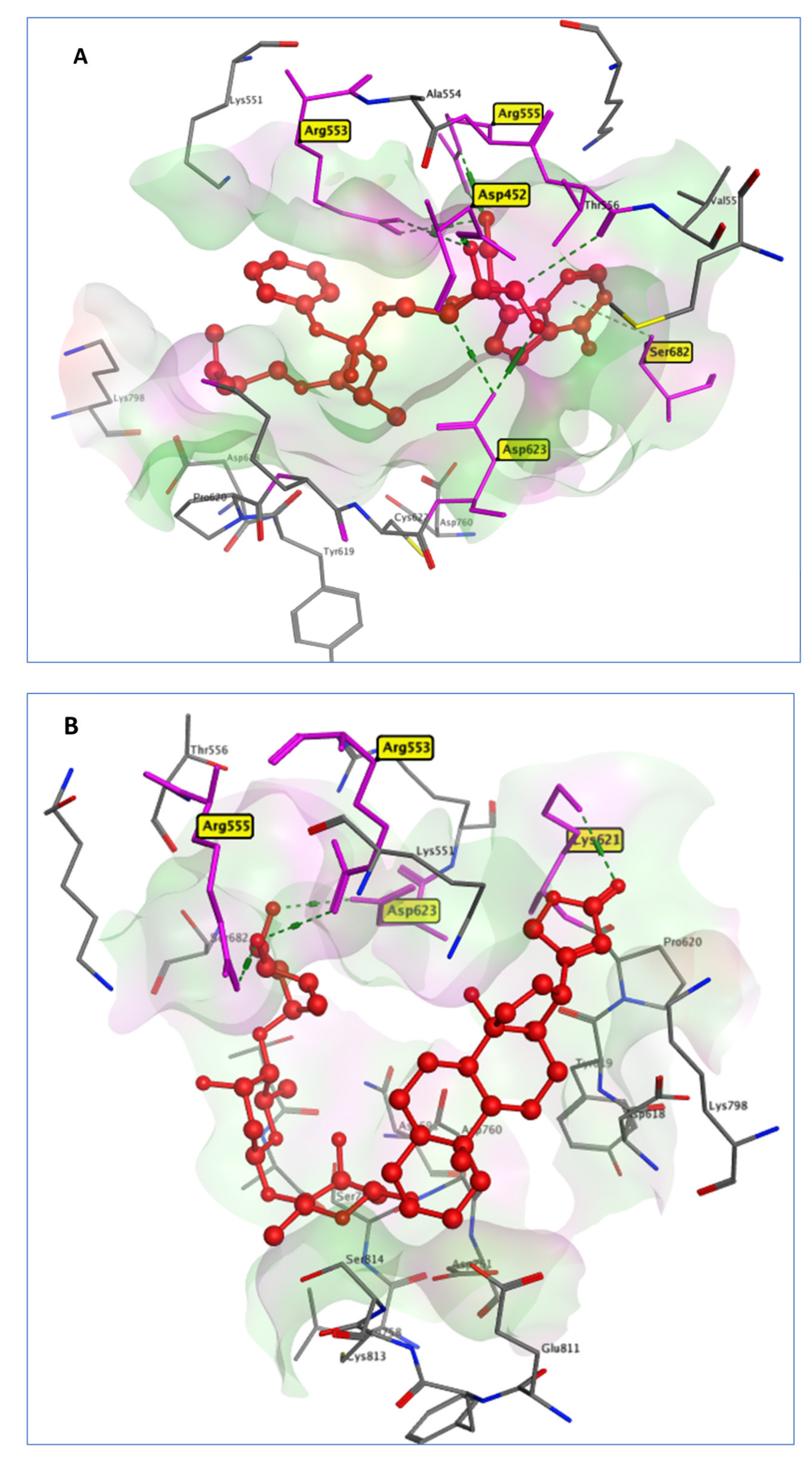 Molecules 27 05988 g005