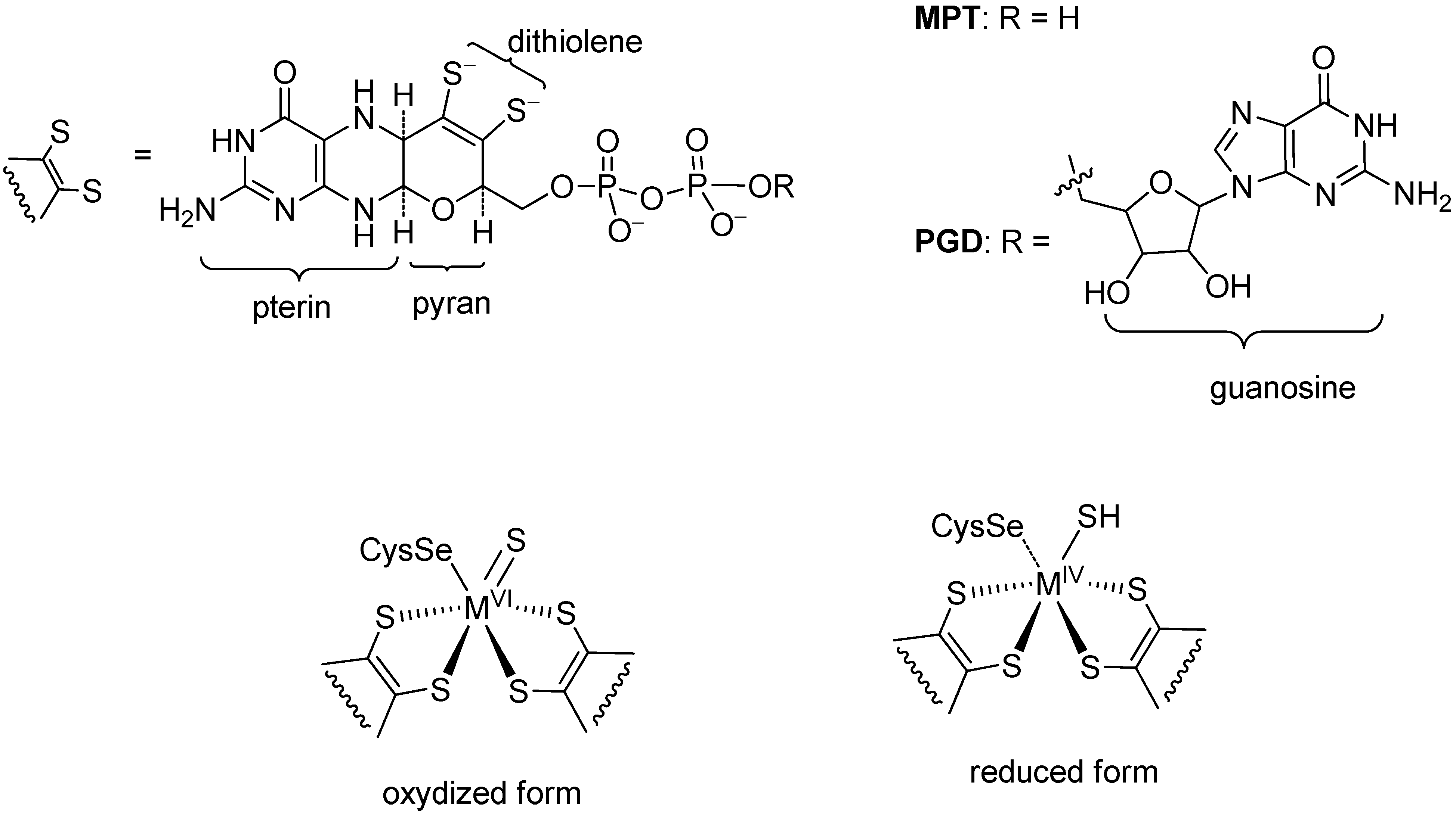 Molecules 27 05989 g002 Molecules 27 05989 g002