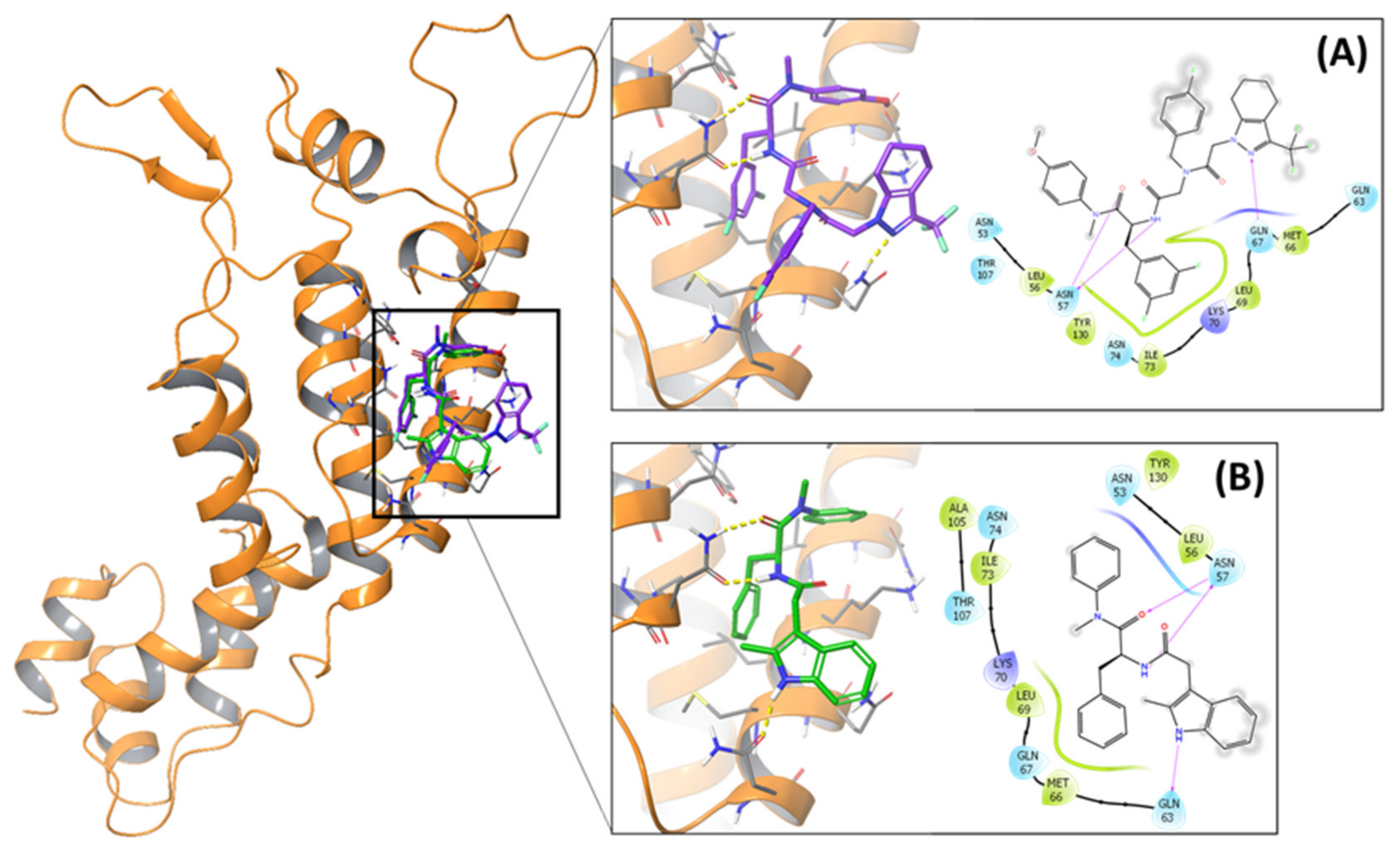 Molecules 27 05995 g004