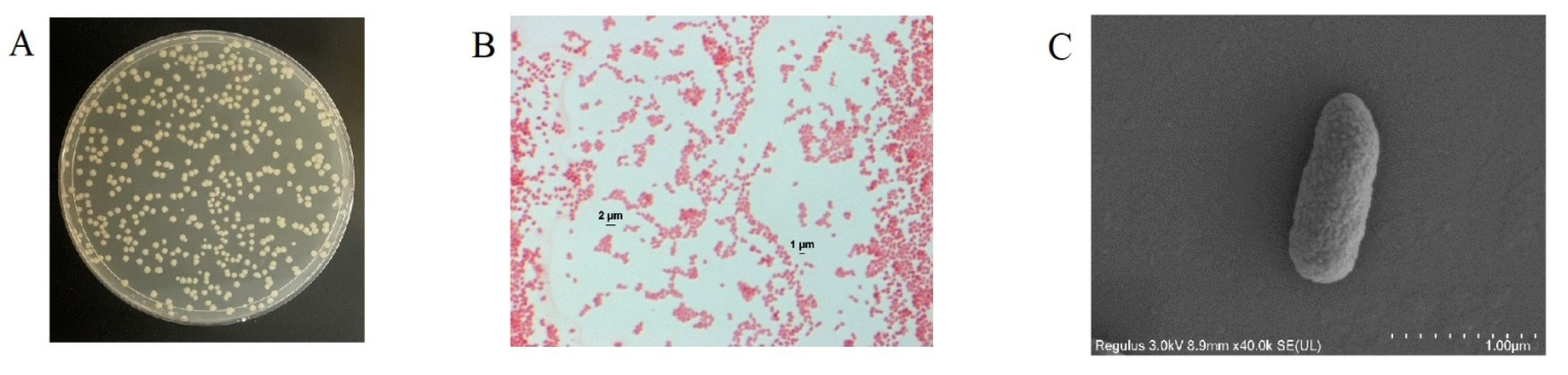 Molecules 27 06007 g001