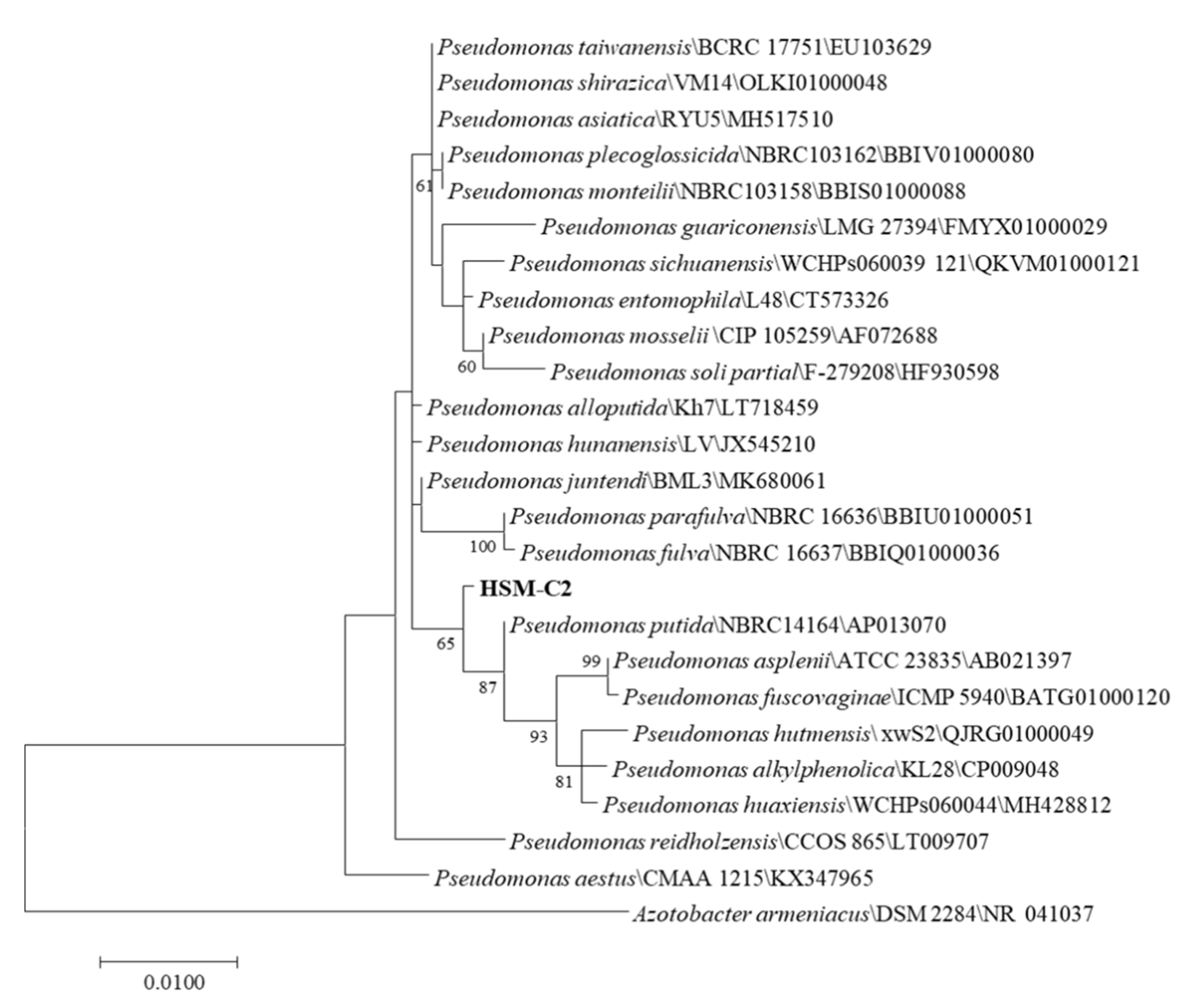Molecules 27 06007 g002