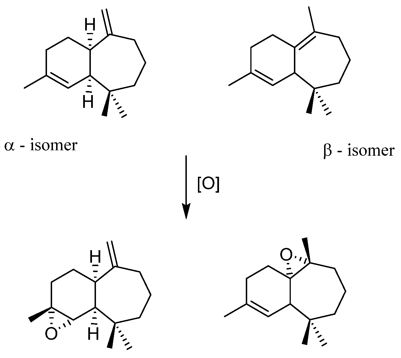 Molecules 27 06011 g013