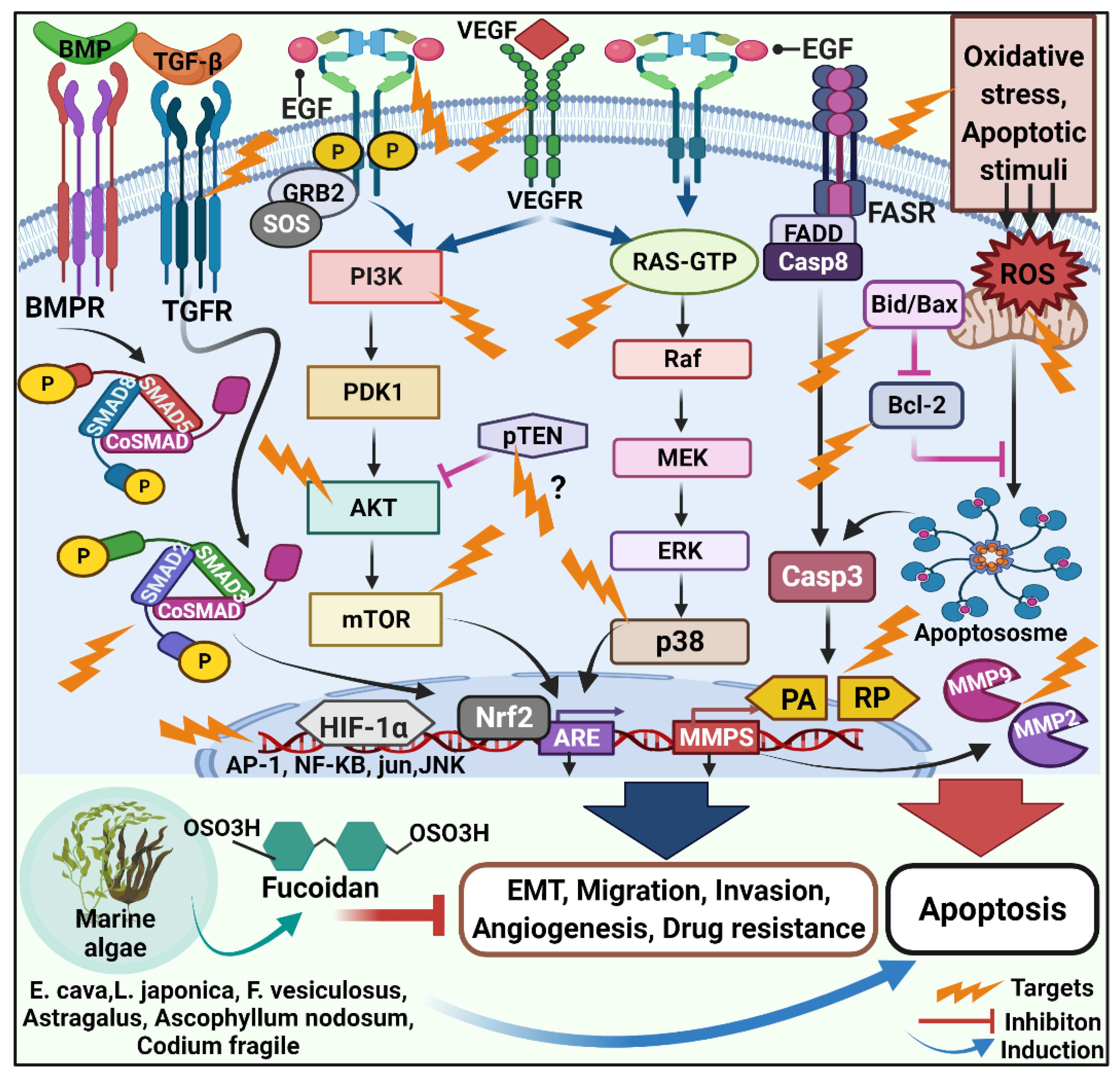 Molecules 27 06032 g001 Molecules 27 06032 g001