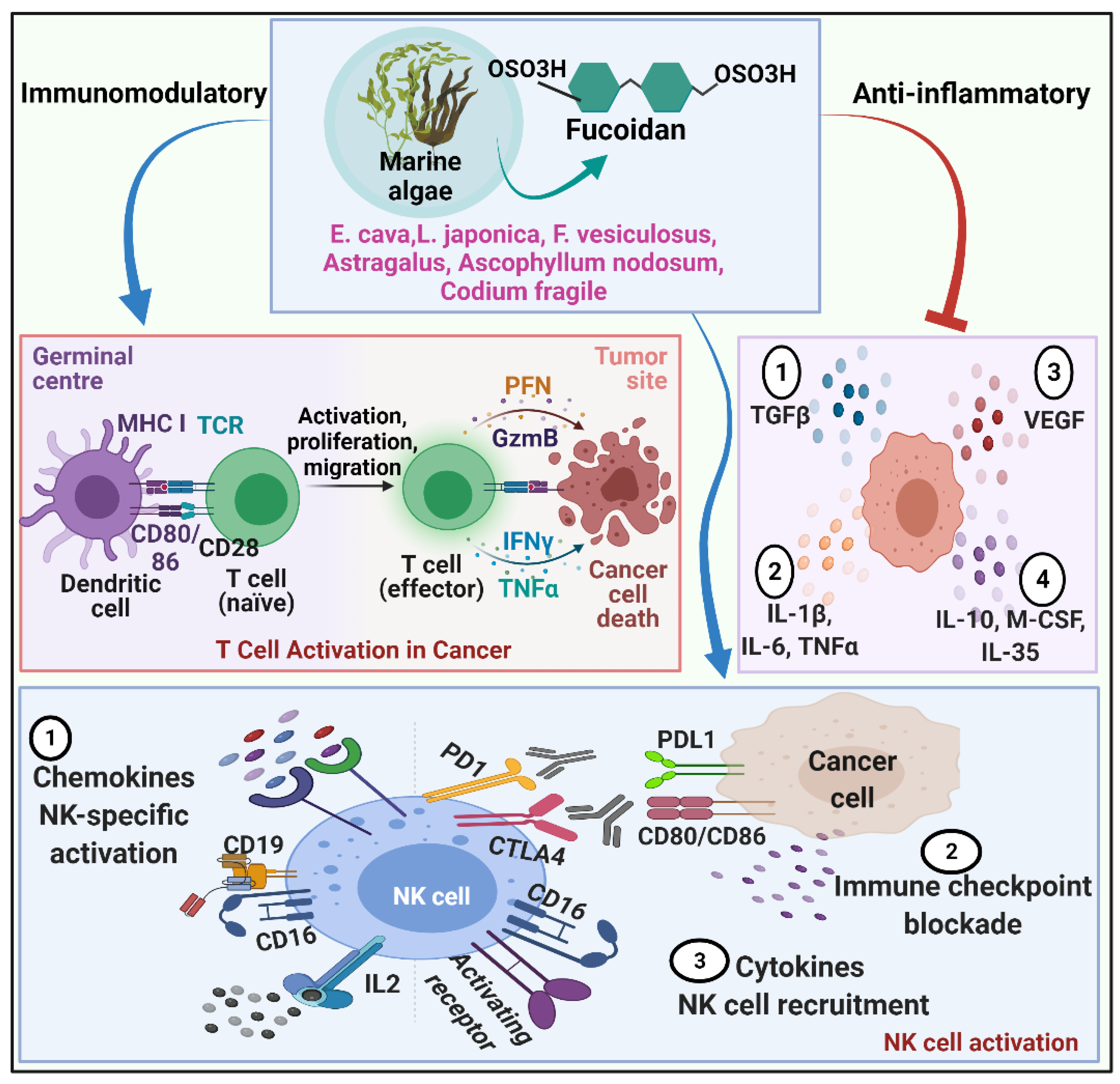 Molecules 27 06032 g002 Molecules 27 06032 g002