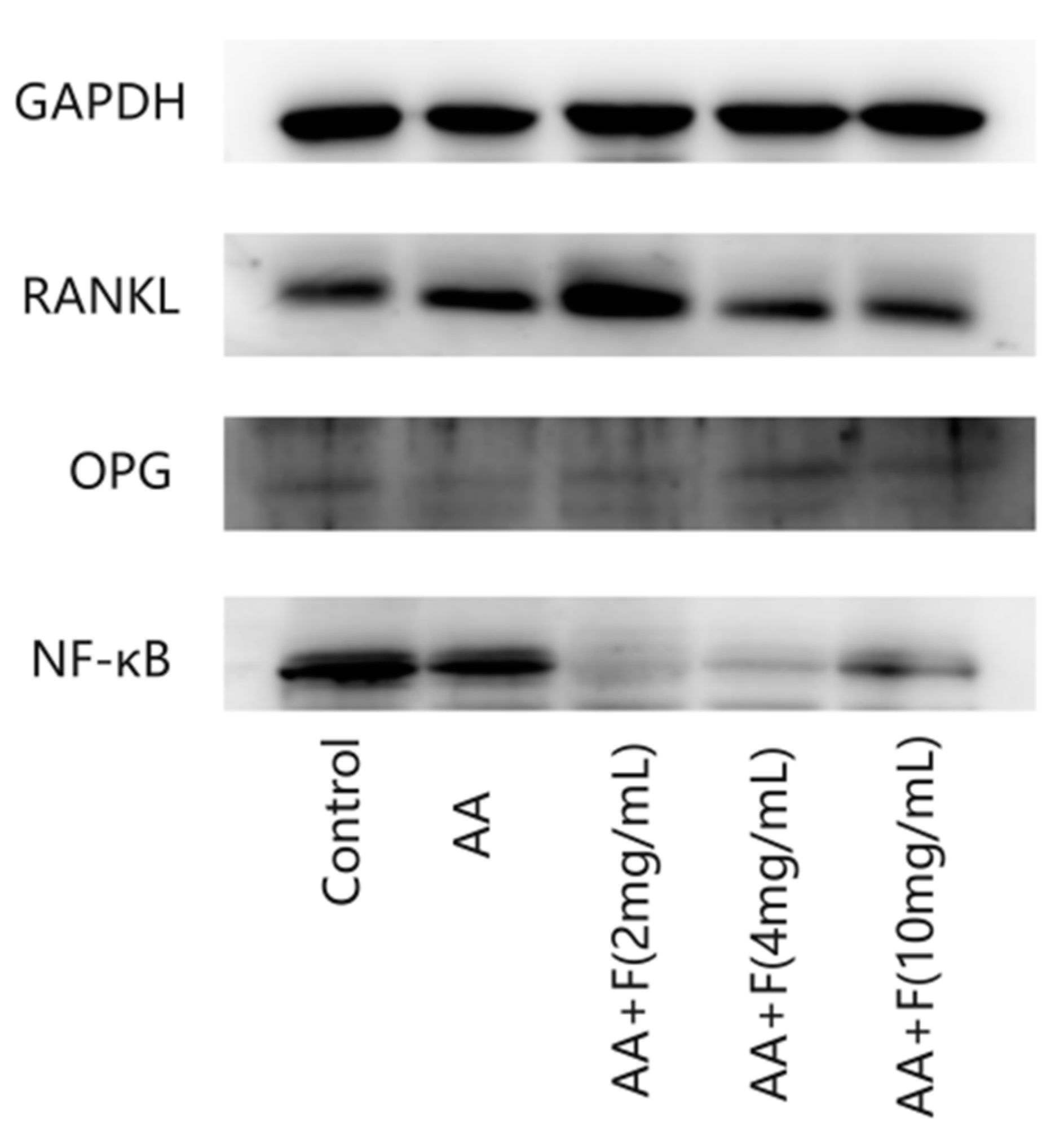 Molecules 27 06058 g004