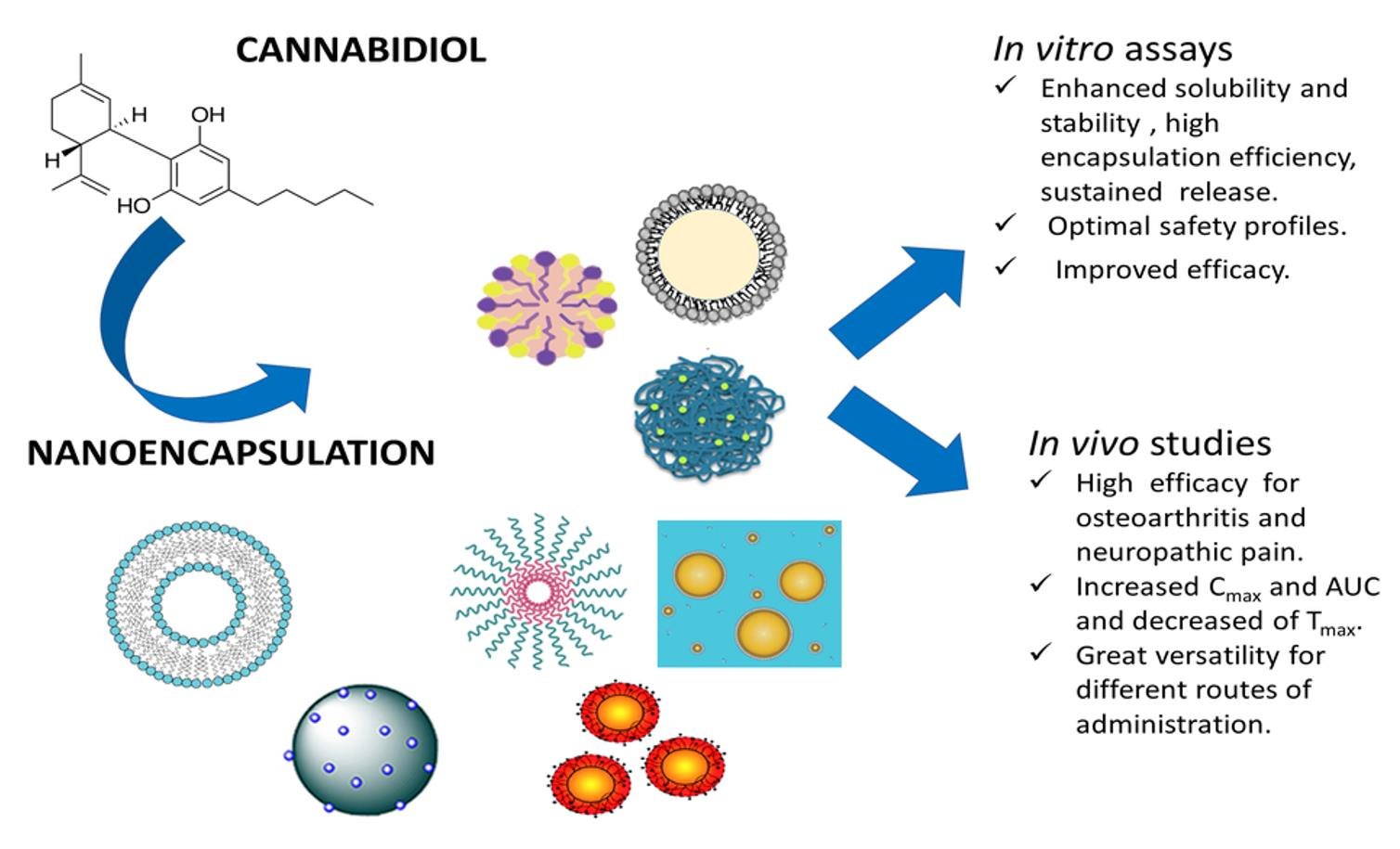 Molecules | Free Full-Text | Promising Nanocarriers to Enhance Solubility  and Bioavailability of Cannabidiol for a Plethora of Therapeutic  Opportunities