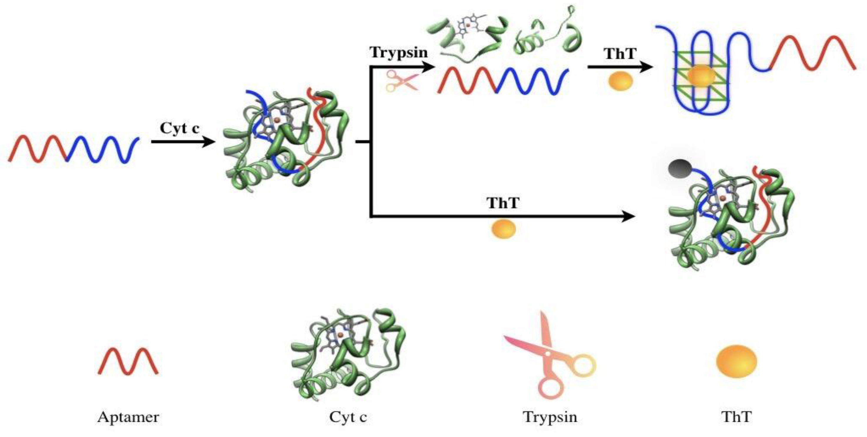 Molecules 27 06093 g001 Molecules 27 06093 g001