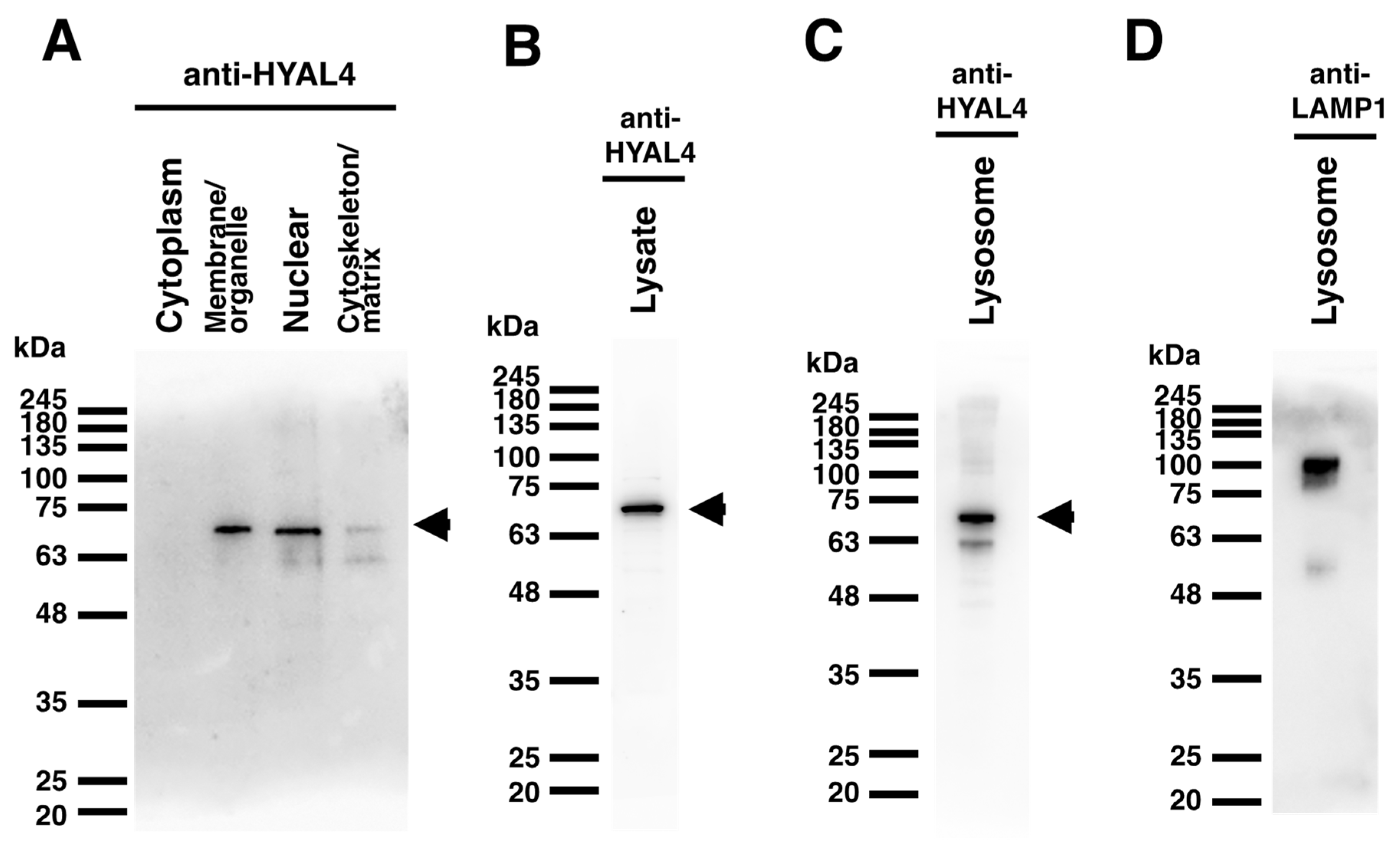 Molecules 27 06103 g005