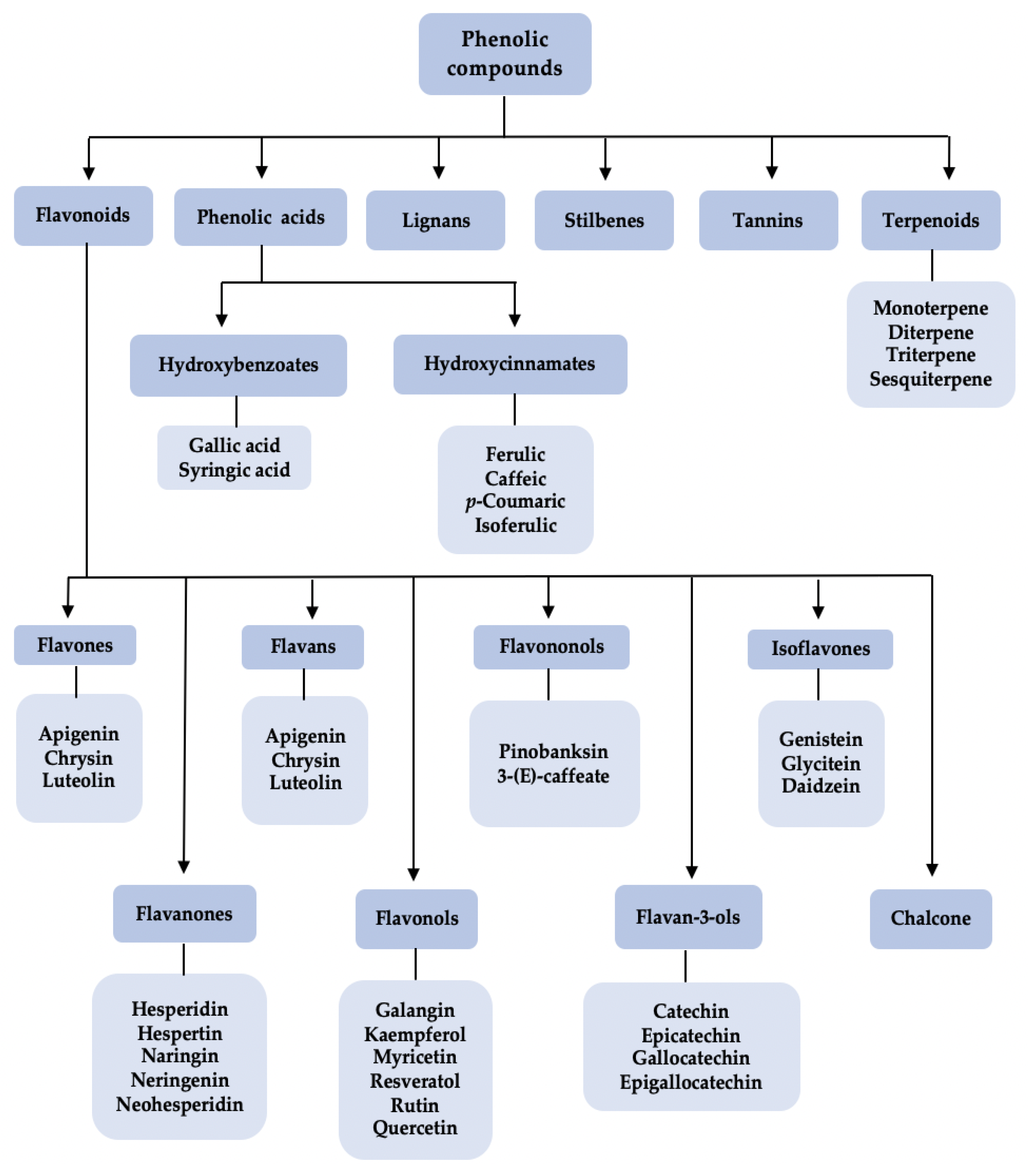 Molecules | Free Full-Text | Propolis: Its Role and Efficacy in Human ...