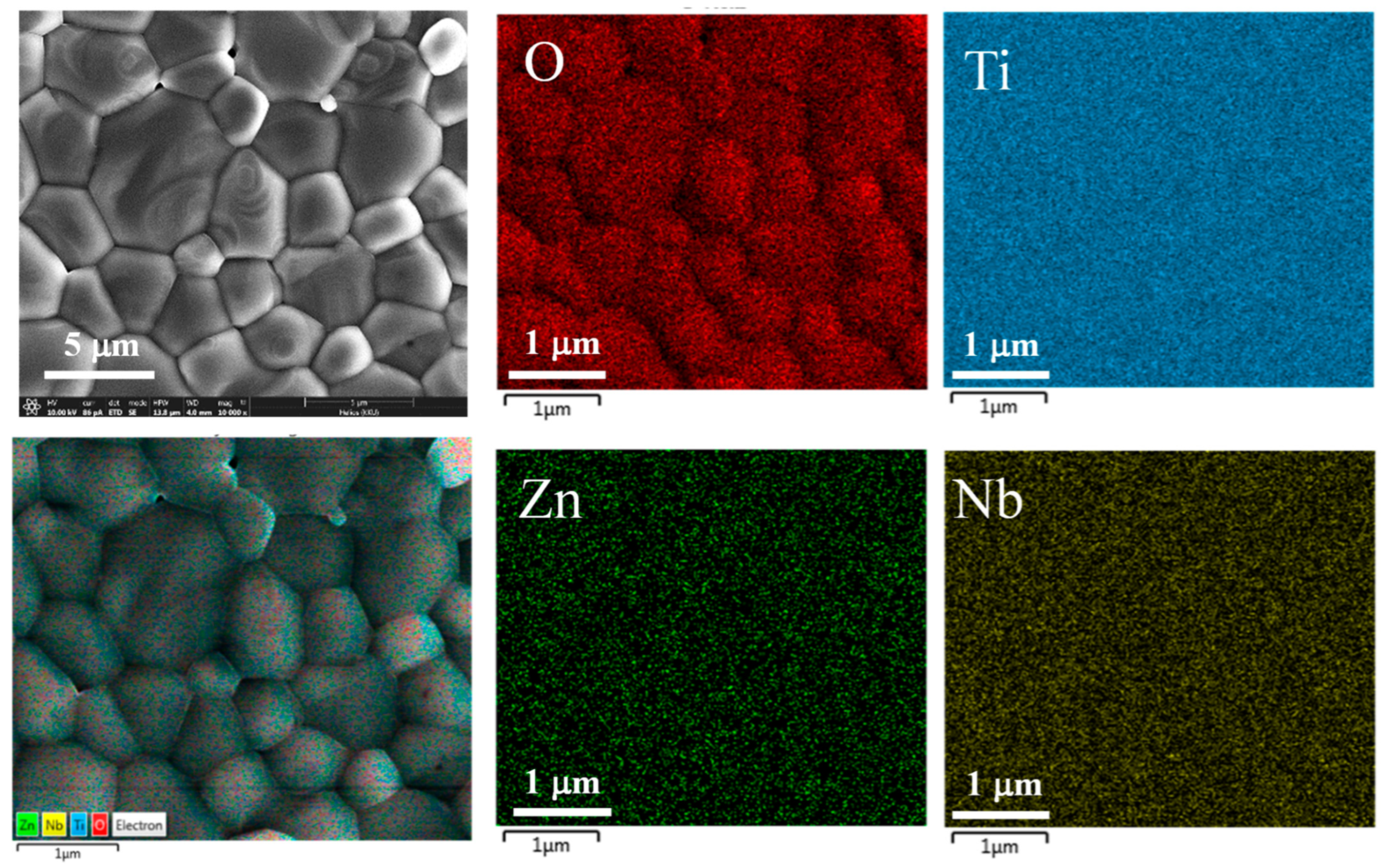 Molecules 27 06121 g004 Molecules 27 06121 g004