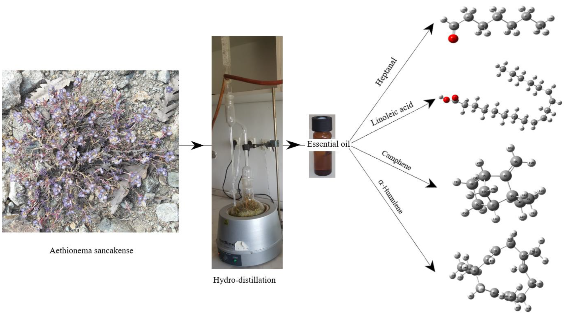 Molecules 27 06129 g001