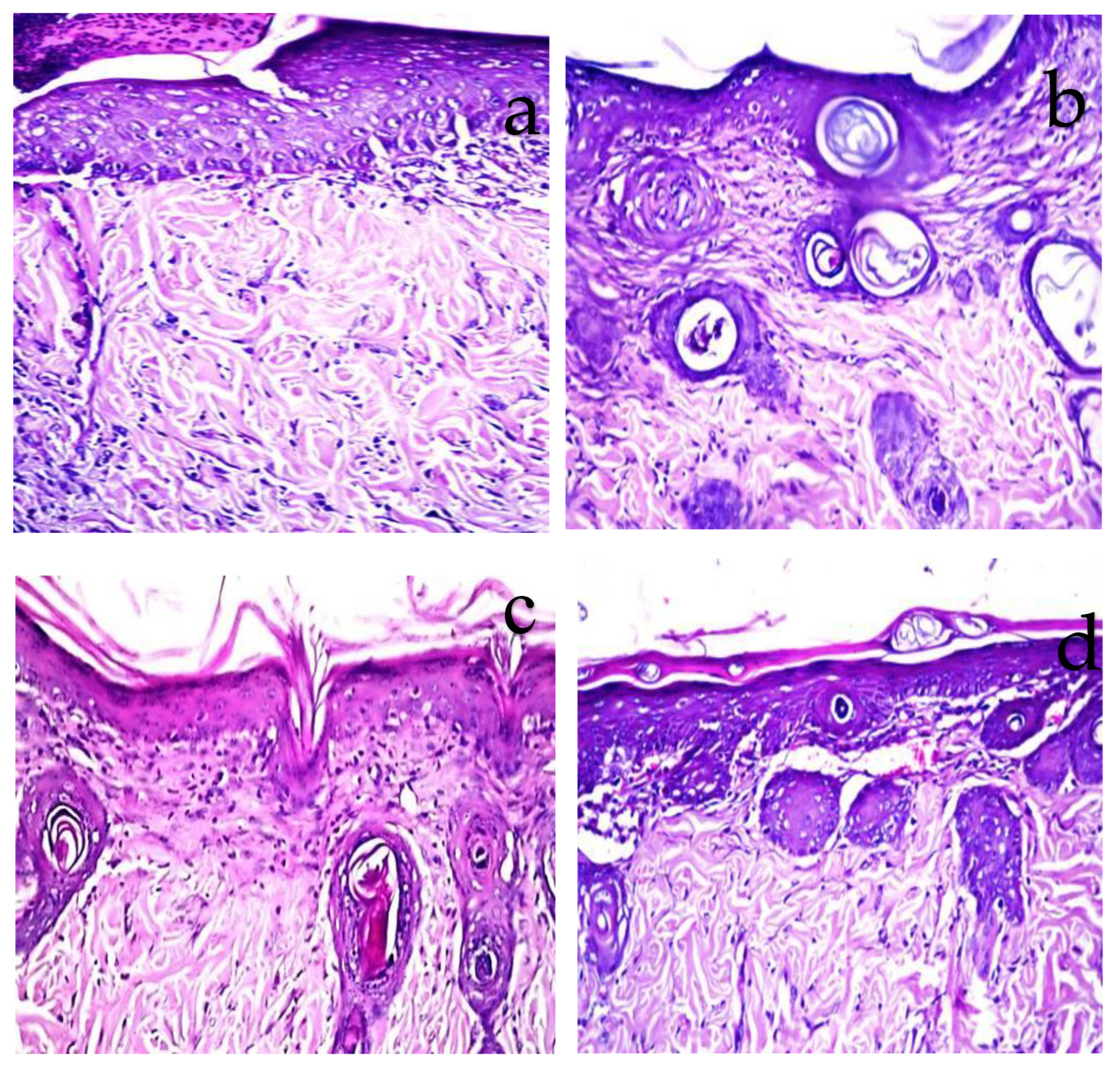Molecules 27 06143 g007