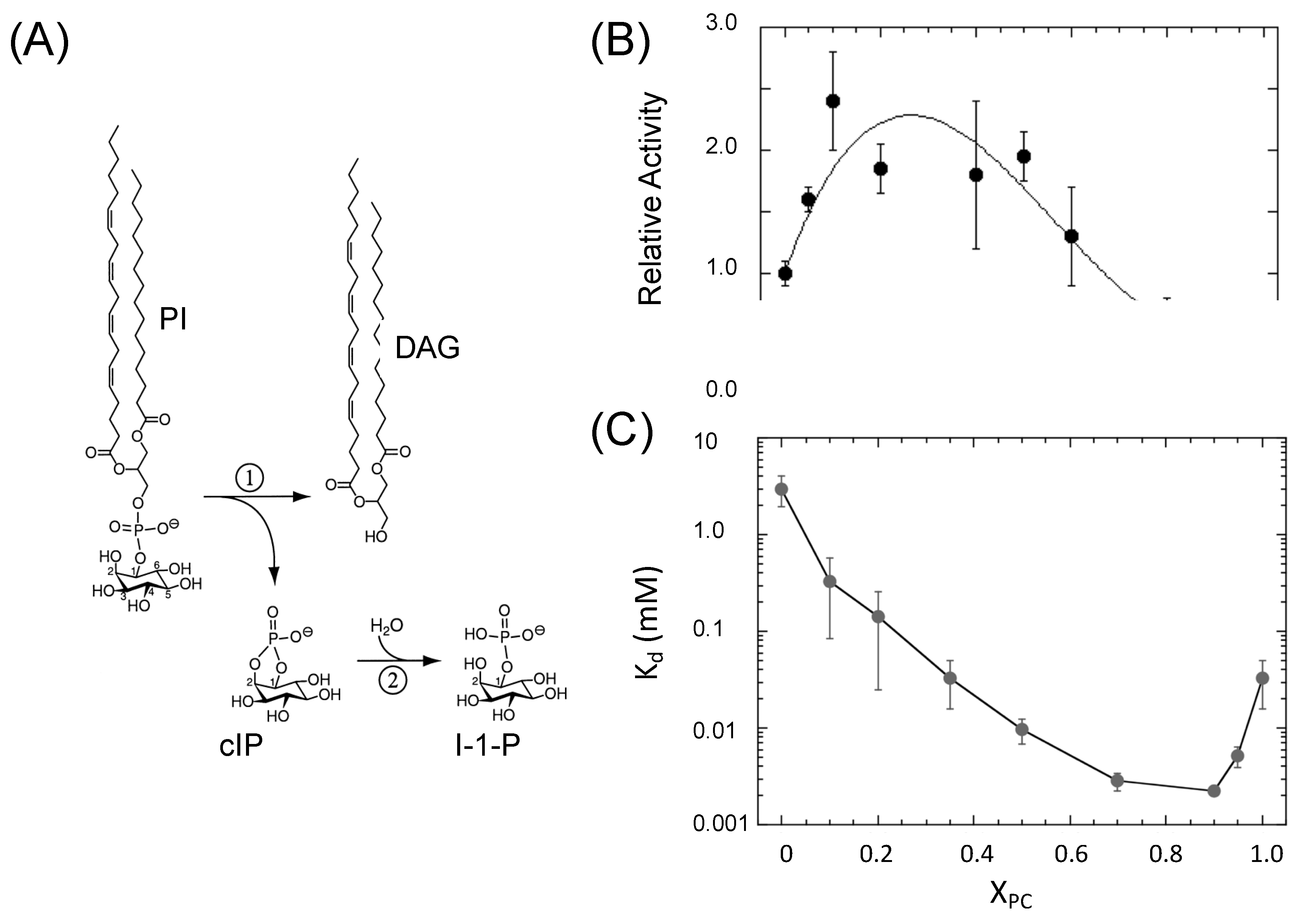 Molecules 27 06184 g001 Molecules 27 06184 g001