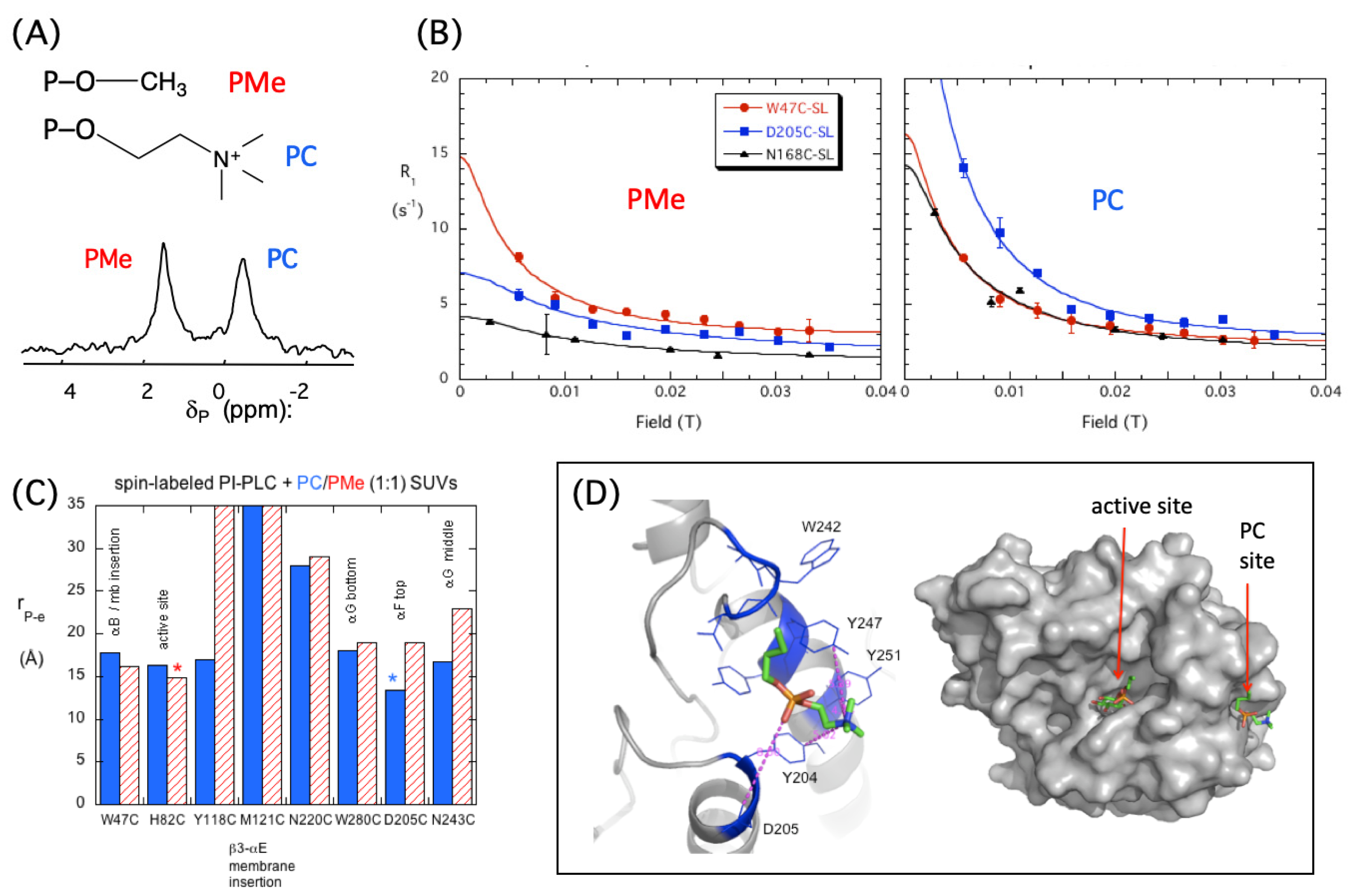 Molecules 27 06184 g004 Molecules 27 06184 g004