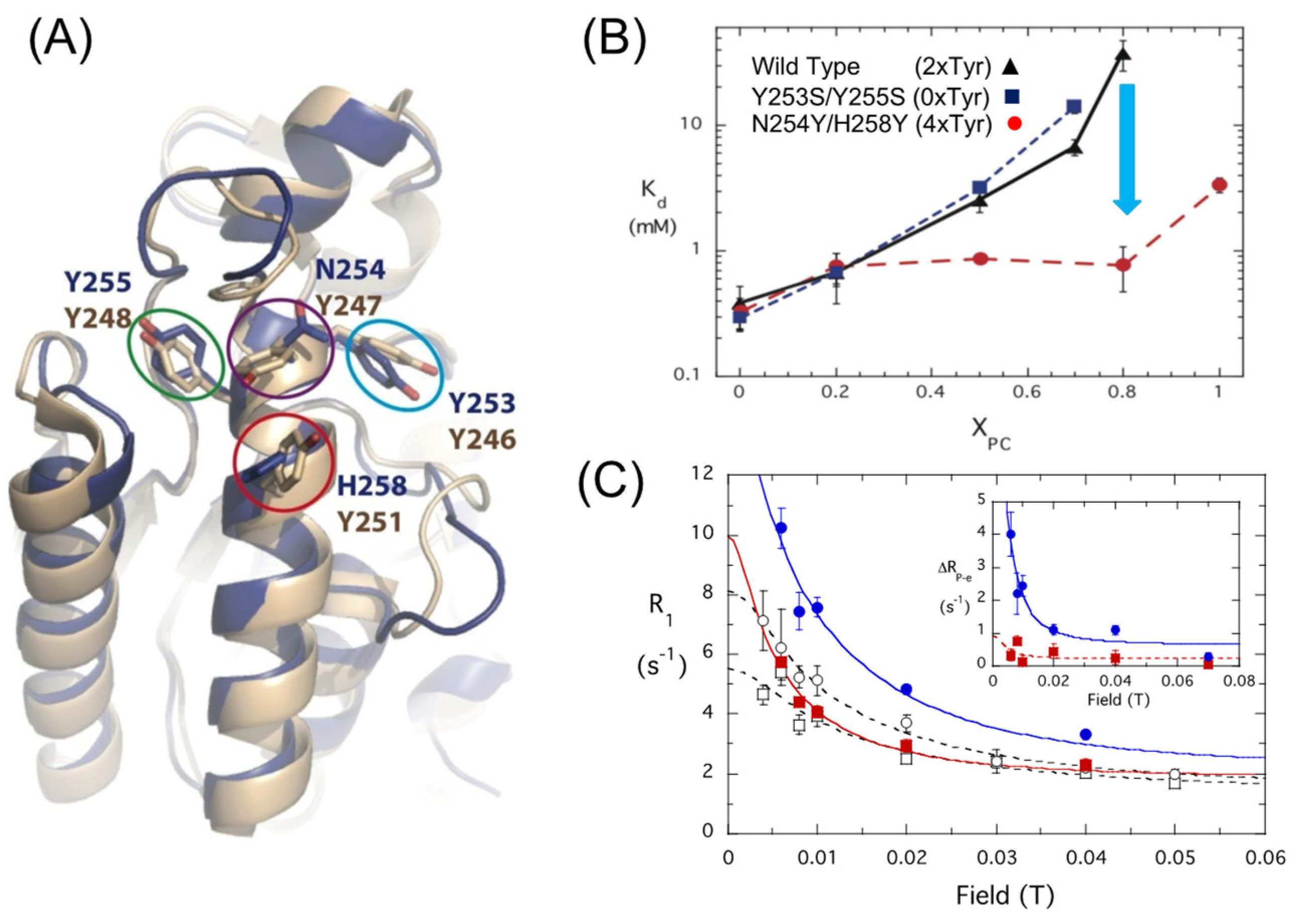 Molecules 27 06184 g005 Molecules 27 06184 g005